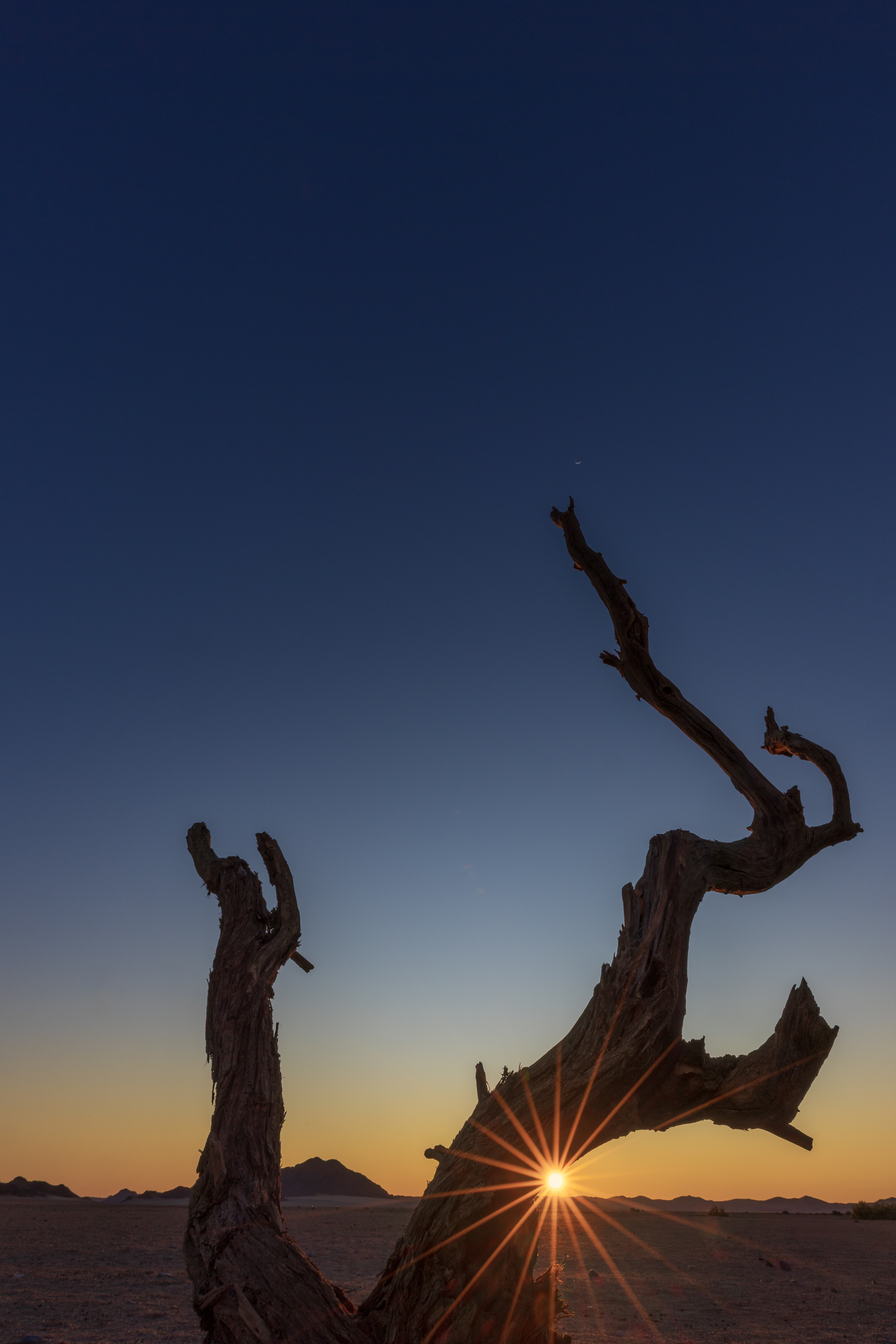 18265509082024222 ©SimonePaleari