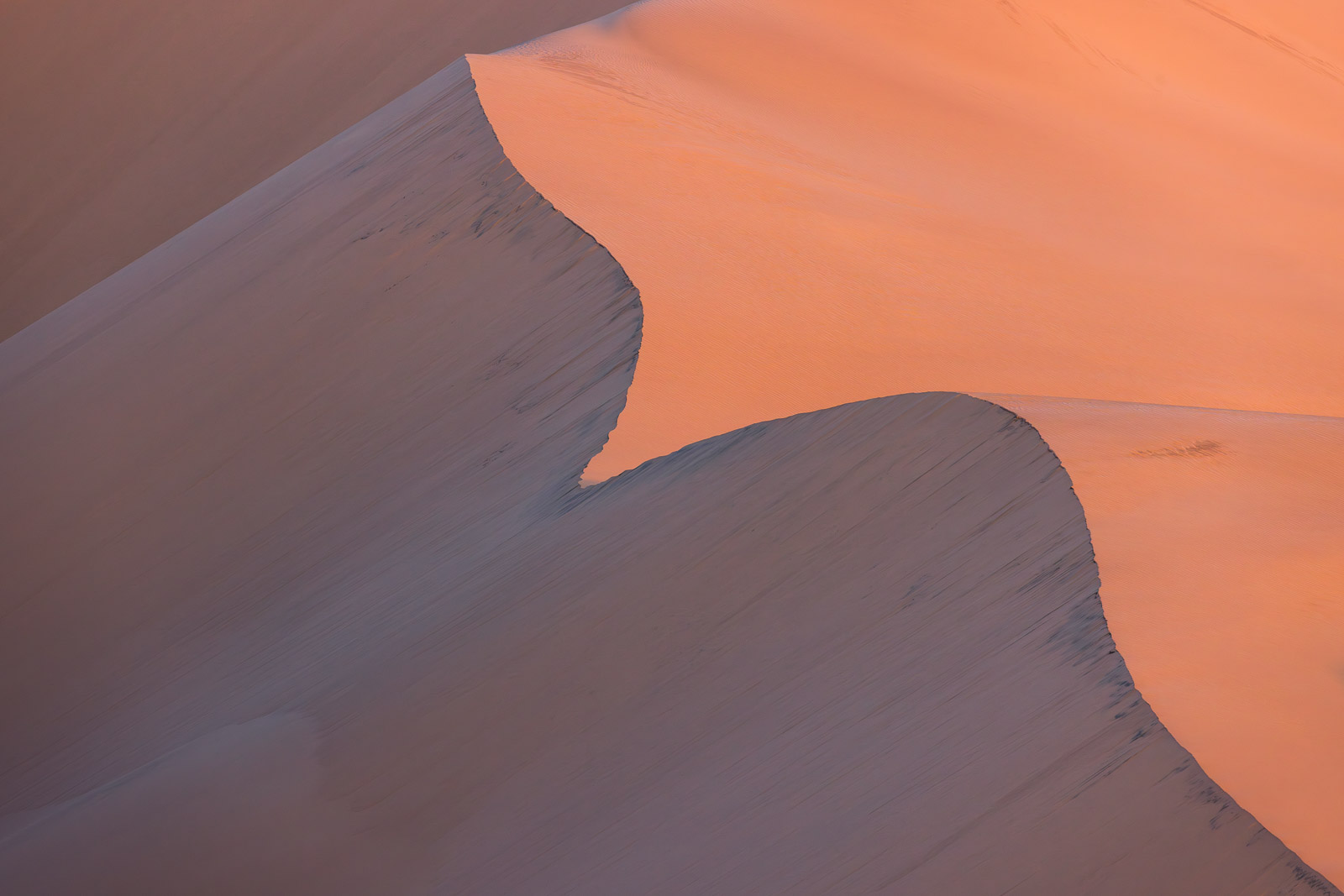 18283613082024226 ©SimonePaleari