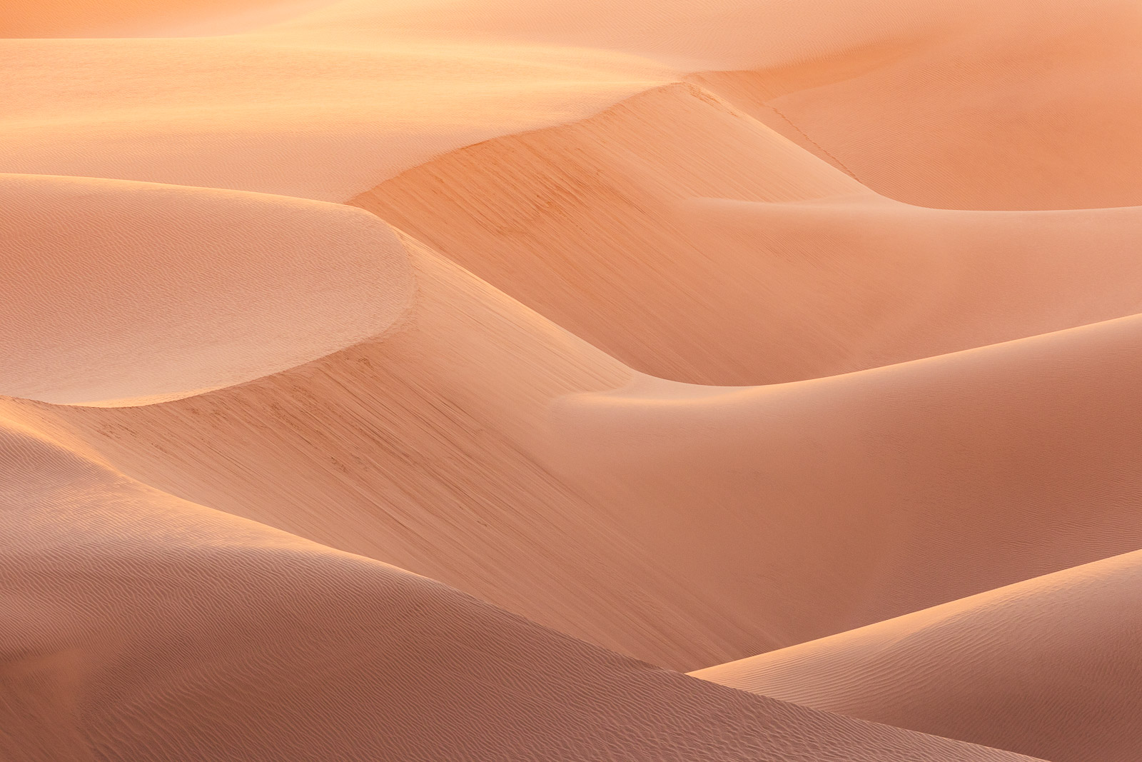 18292913082024226 ©SimonePaleari