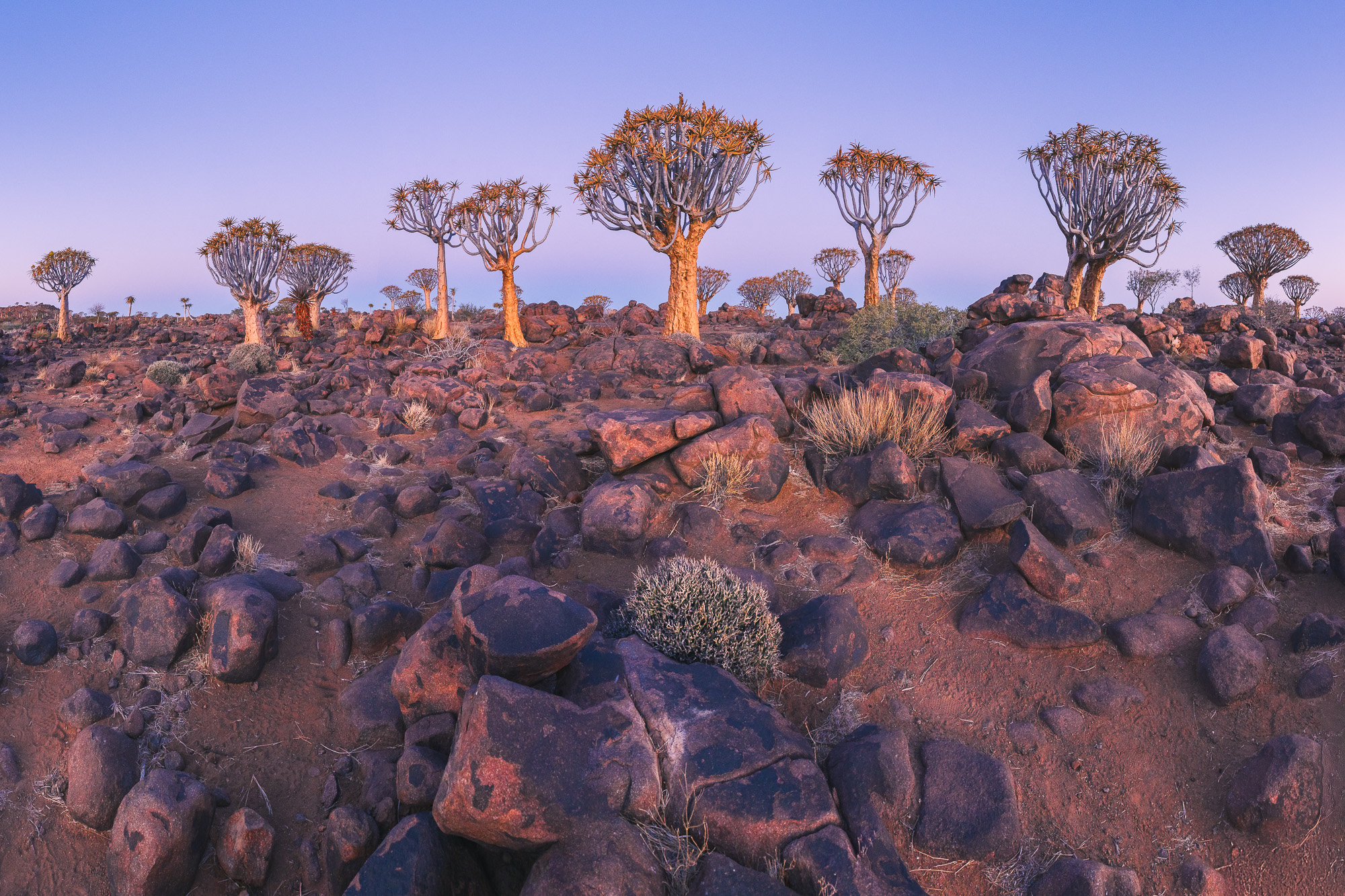 18294005082024218 3©SimonePaleari