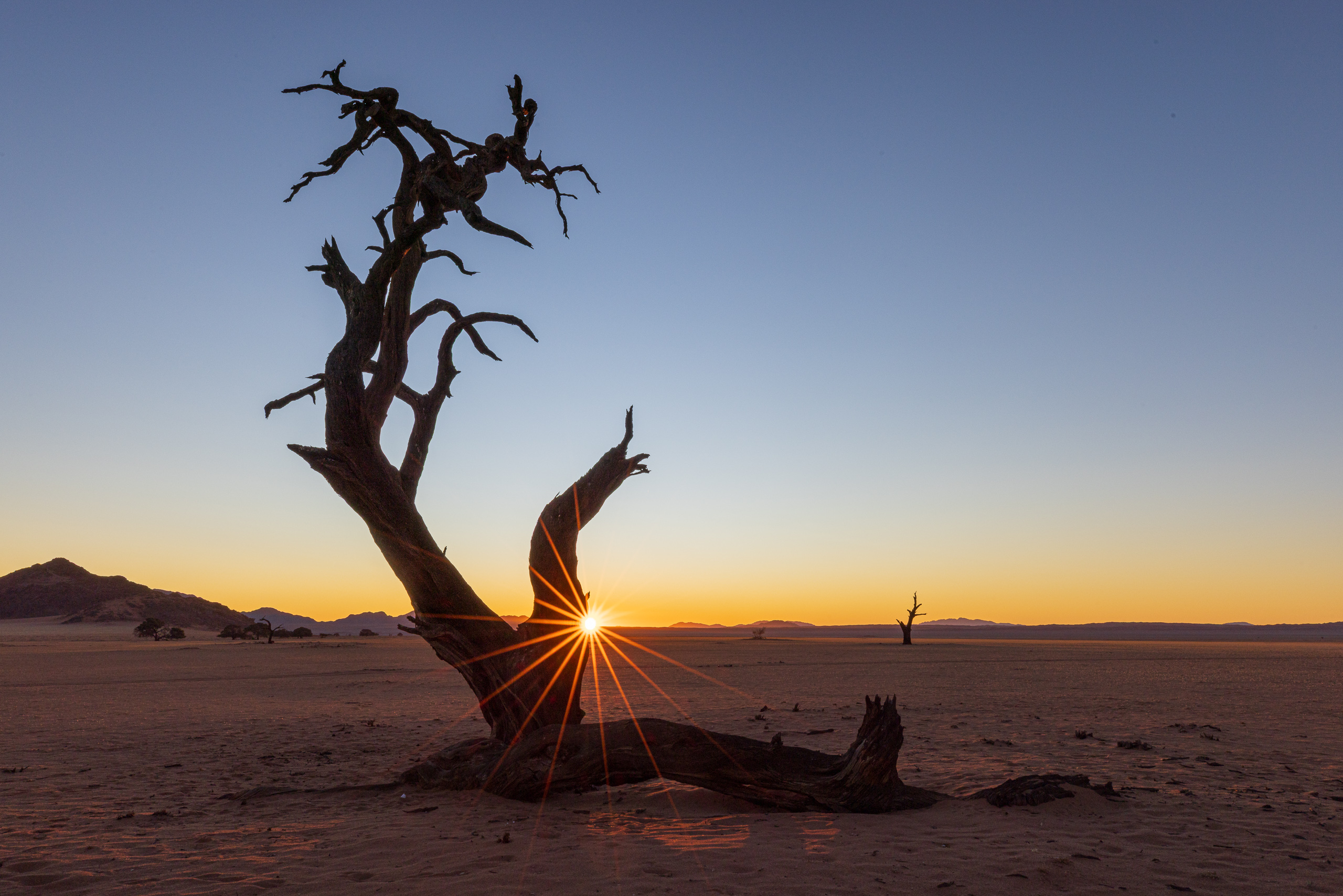 18313608082024221 ©SimonePaleari