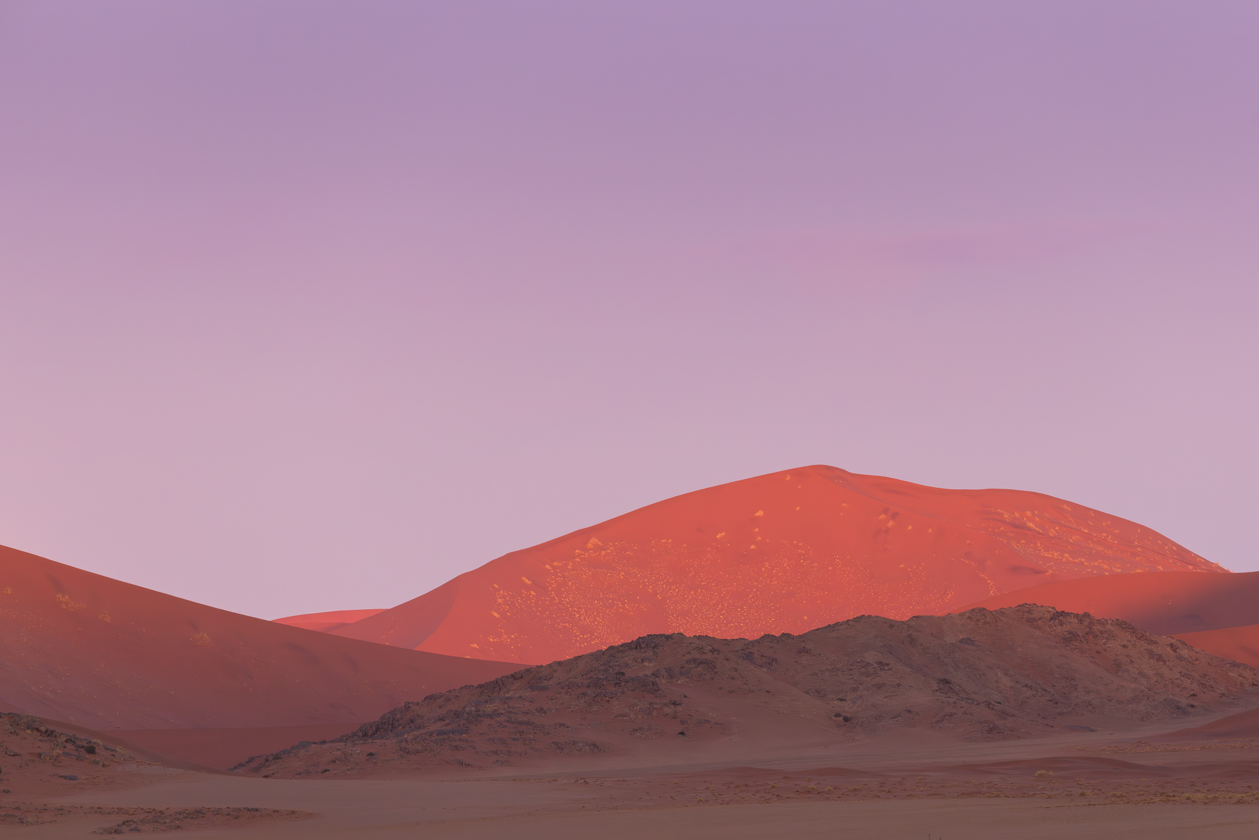 18340411082024224 ©SimonePaleari