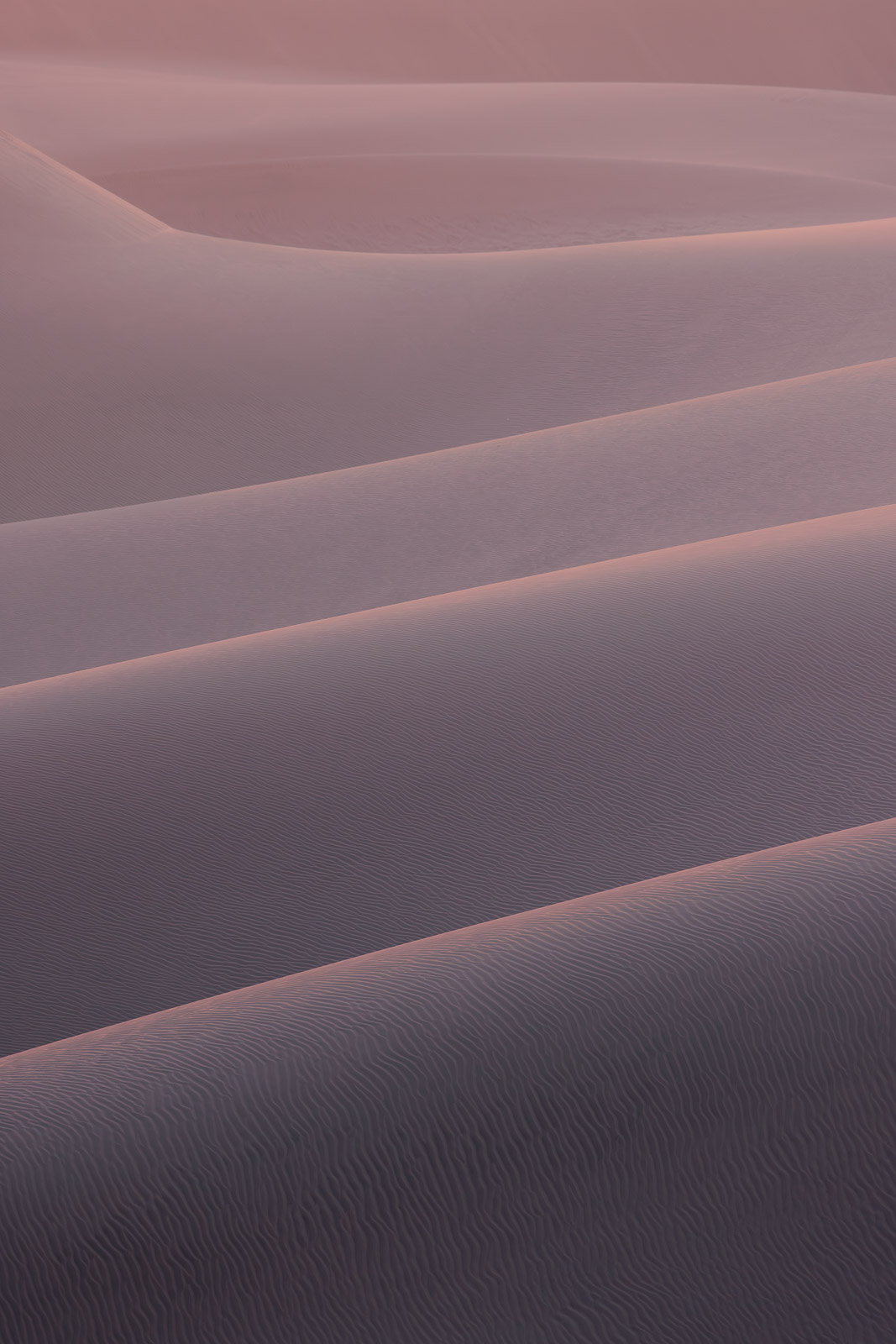 18342513082024226 ©SimonePaleari