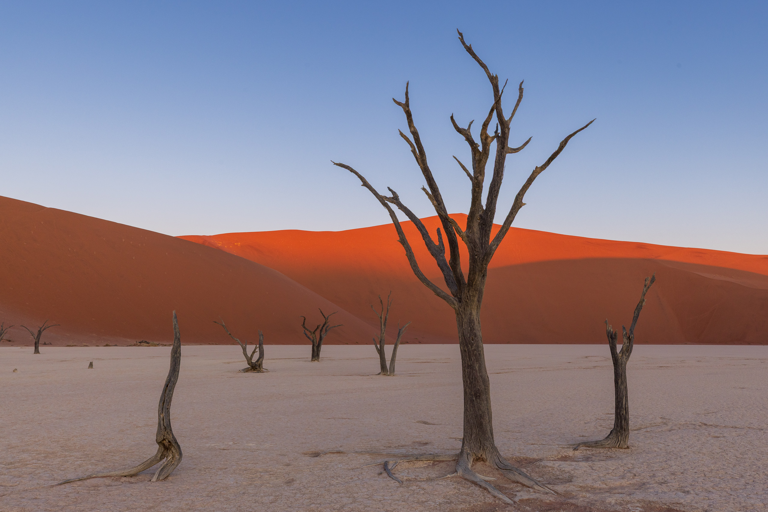 18371310082024223 ©SimonePaleari