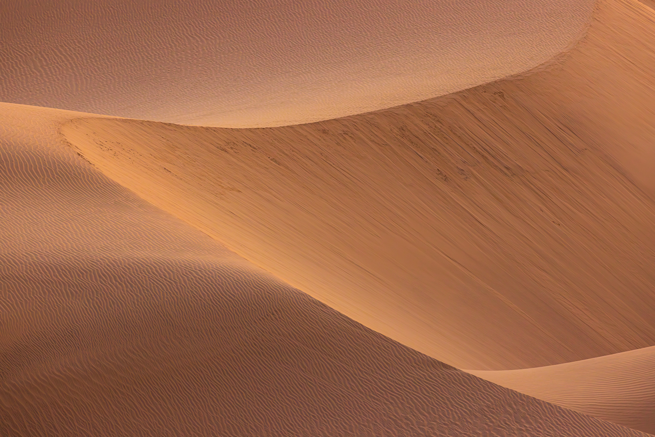 18374013082024226 ©SimonePaleari