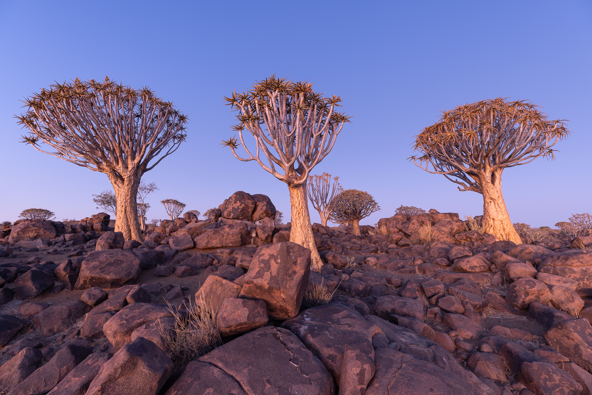 18453305082024218 ©SimonePaleari