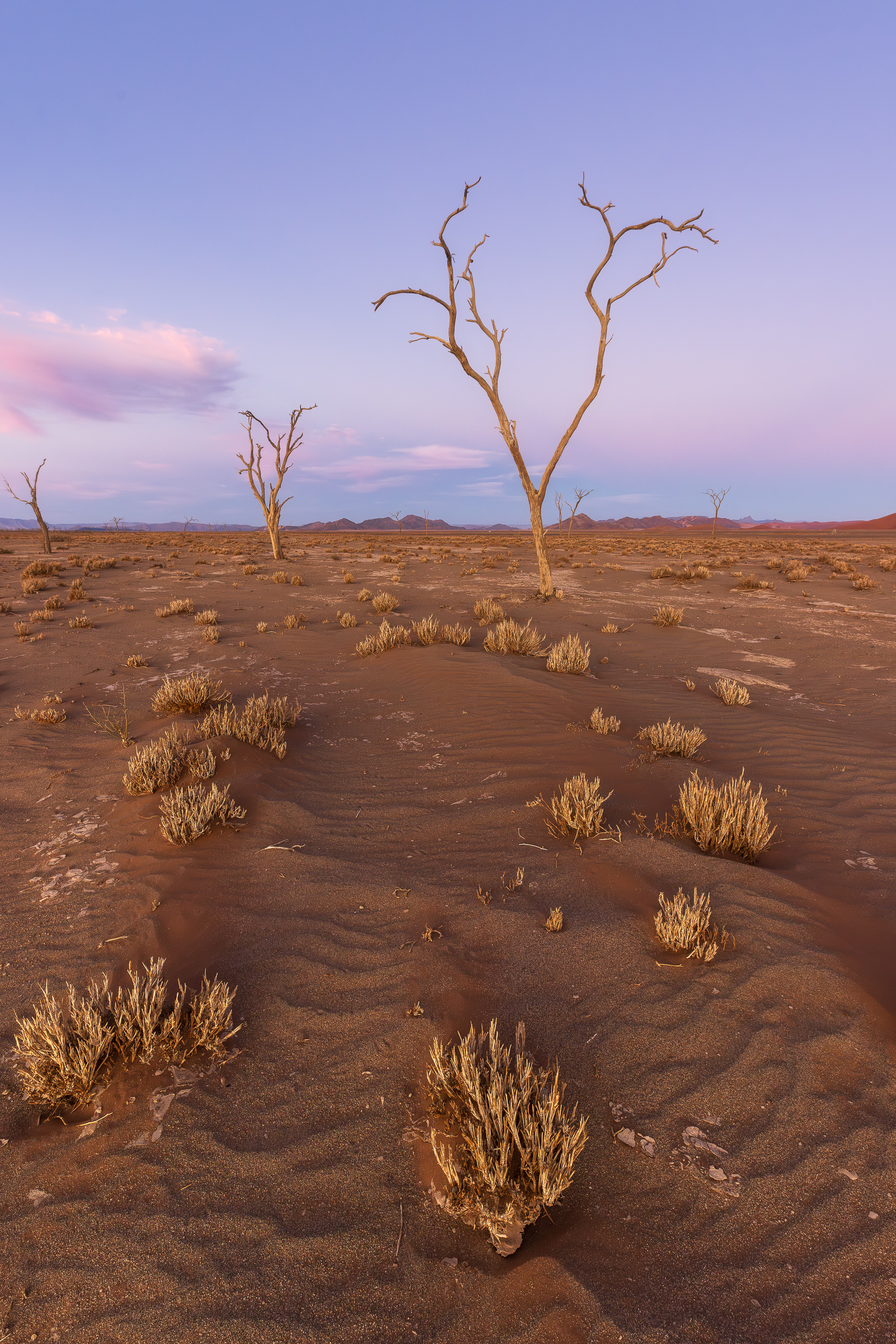 18470911082024224 ©SimonePaleari