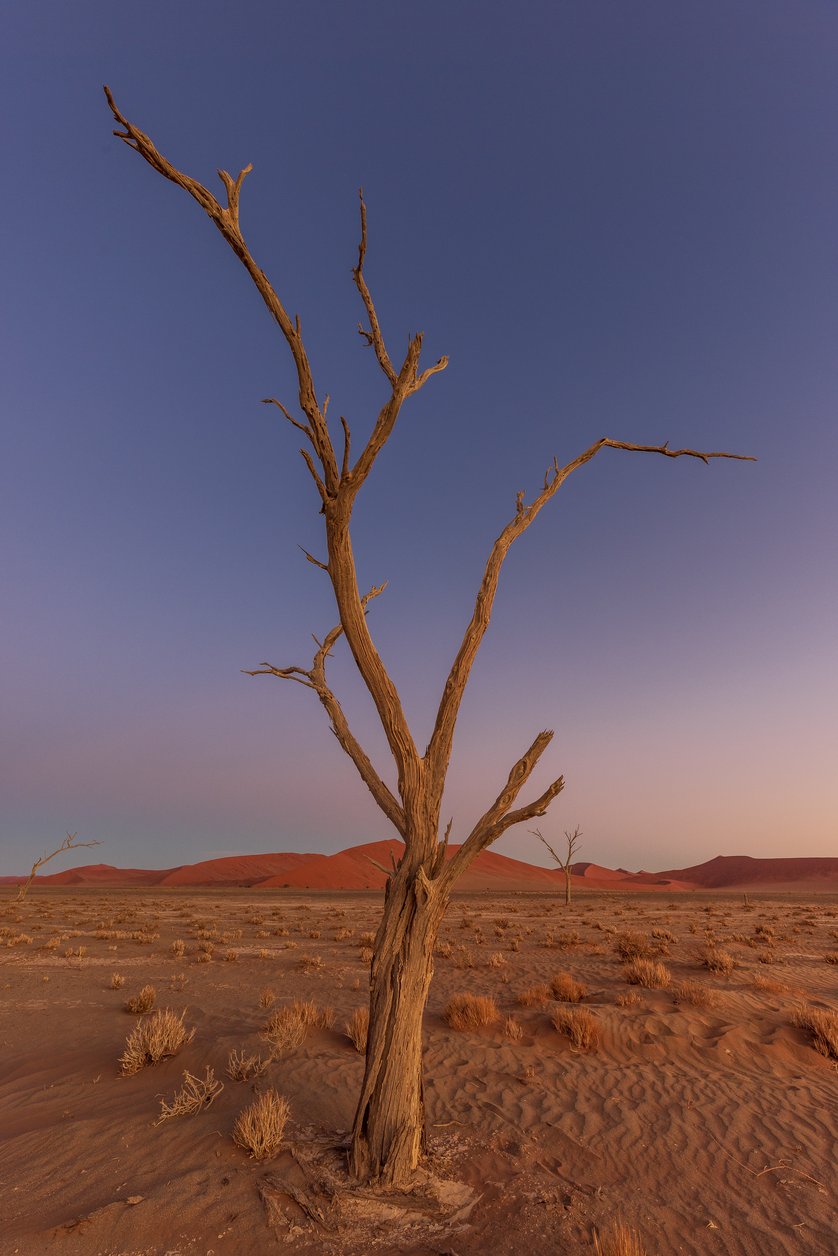 18492411082024224 ©SimonePaleari