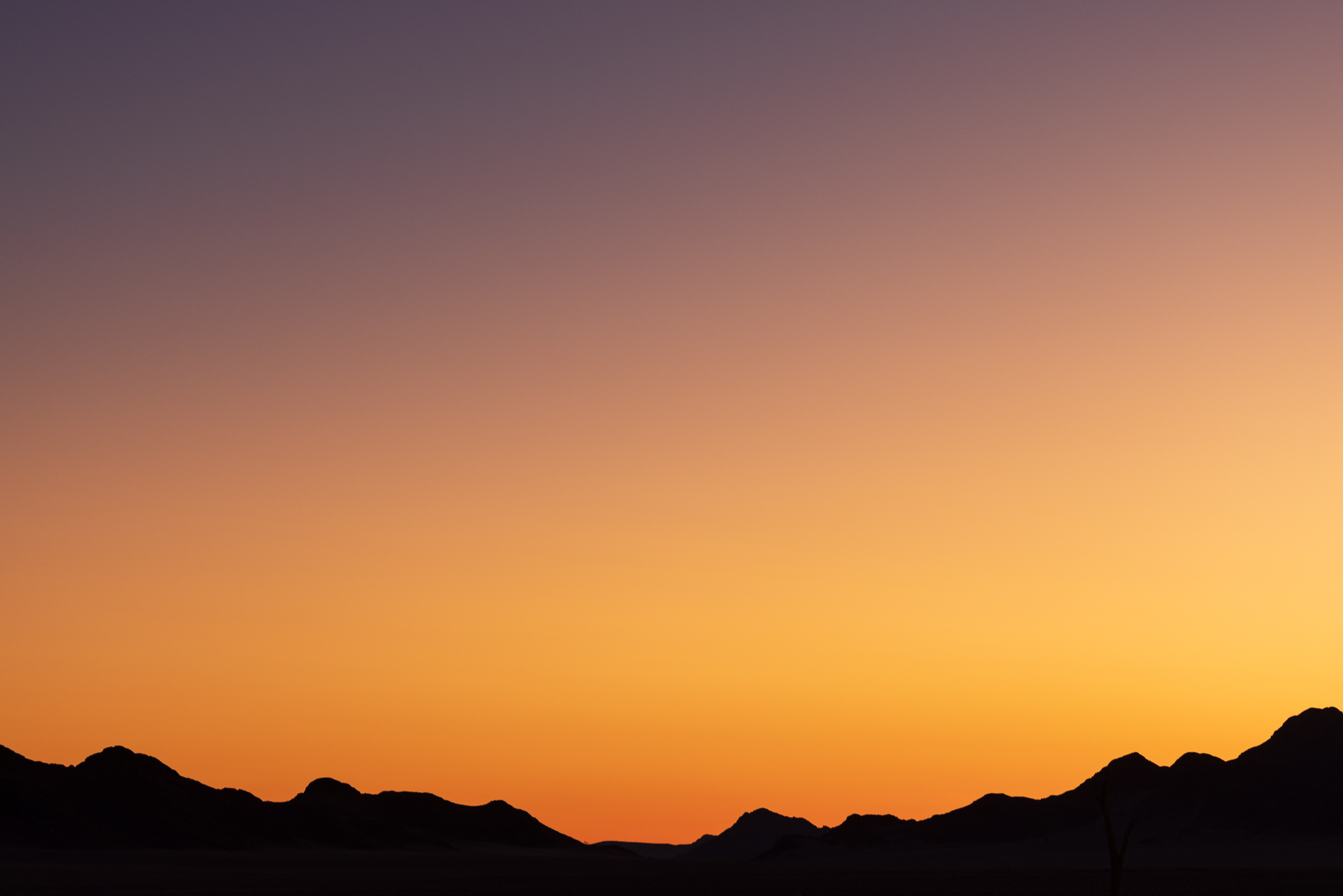 18540109082024222 ©SimonePaleari