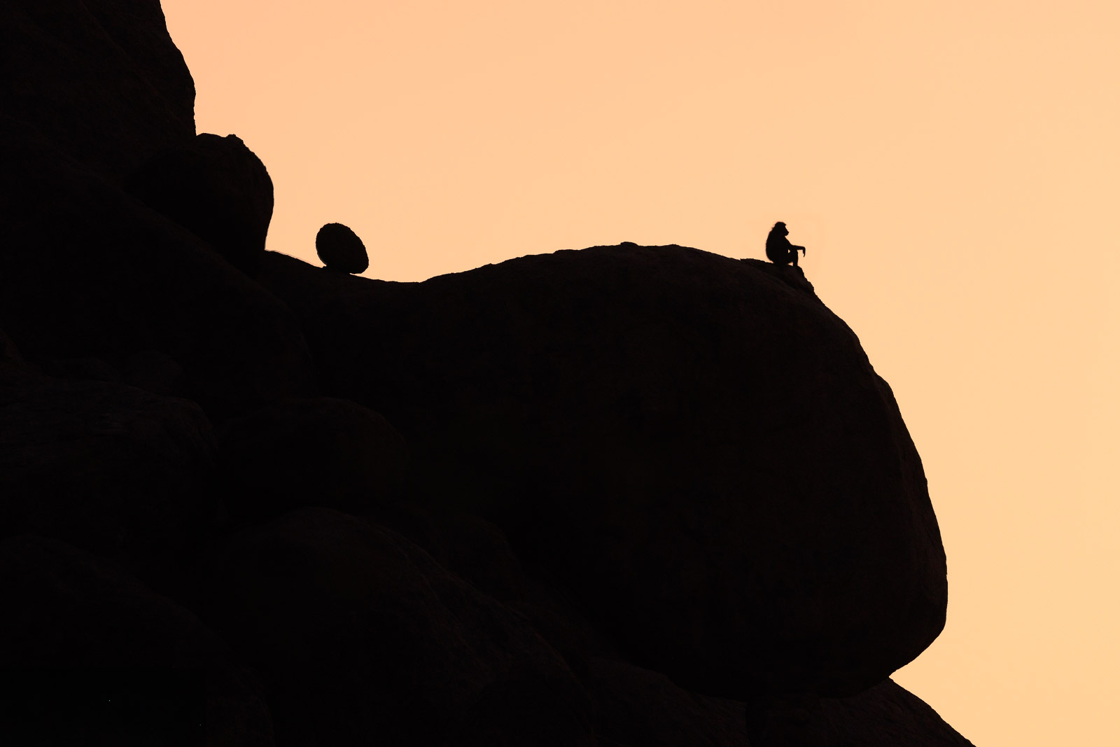 19001816082024229 ©SimonePaleari