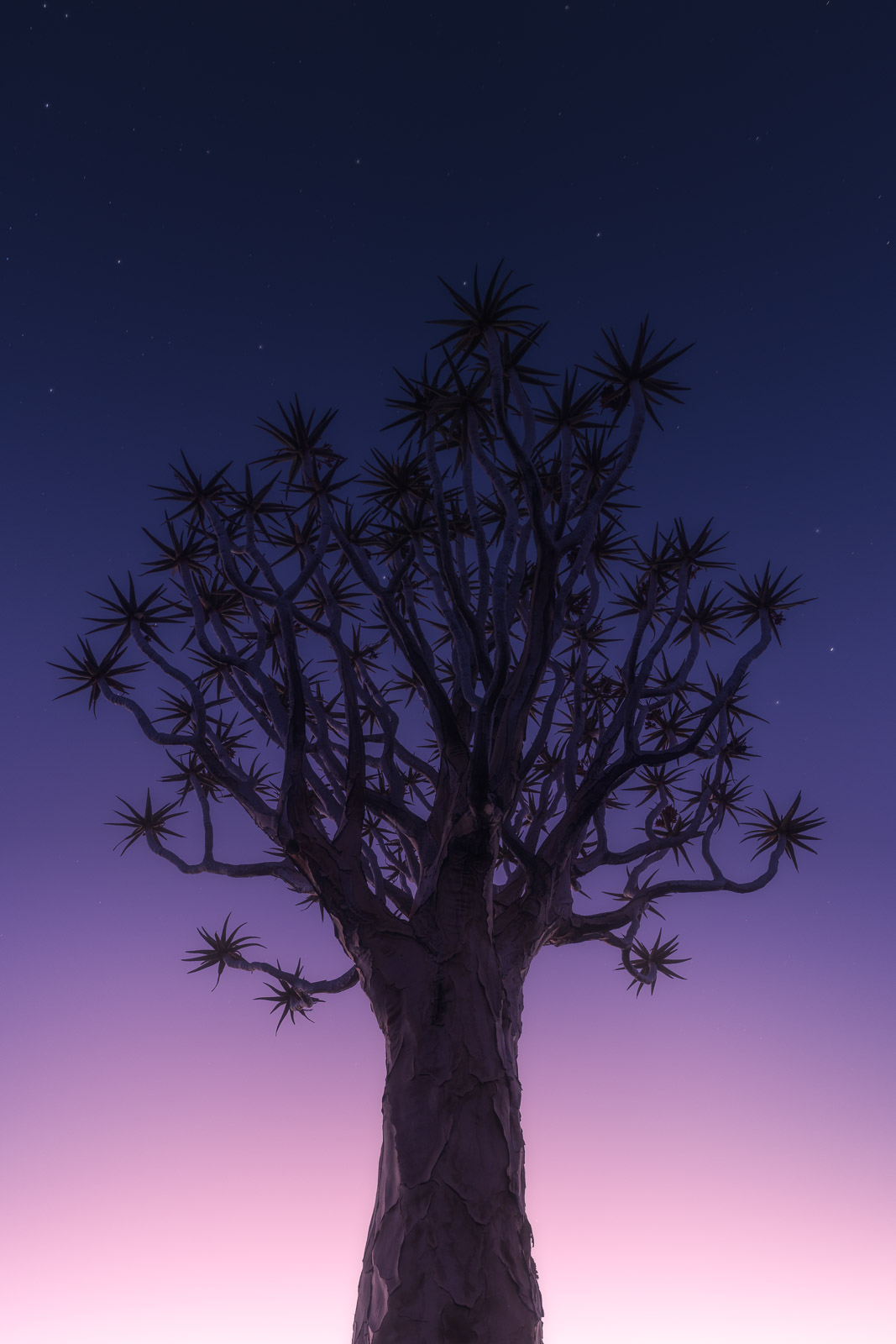 19010605082024218 ©SimonePaleari