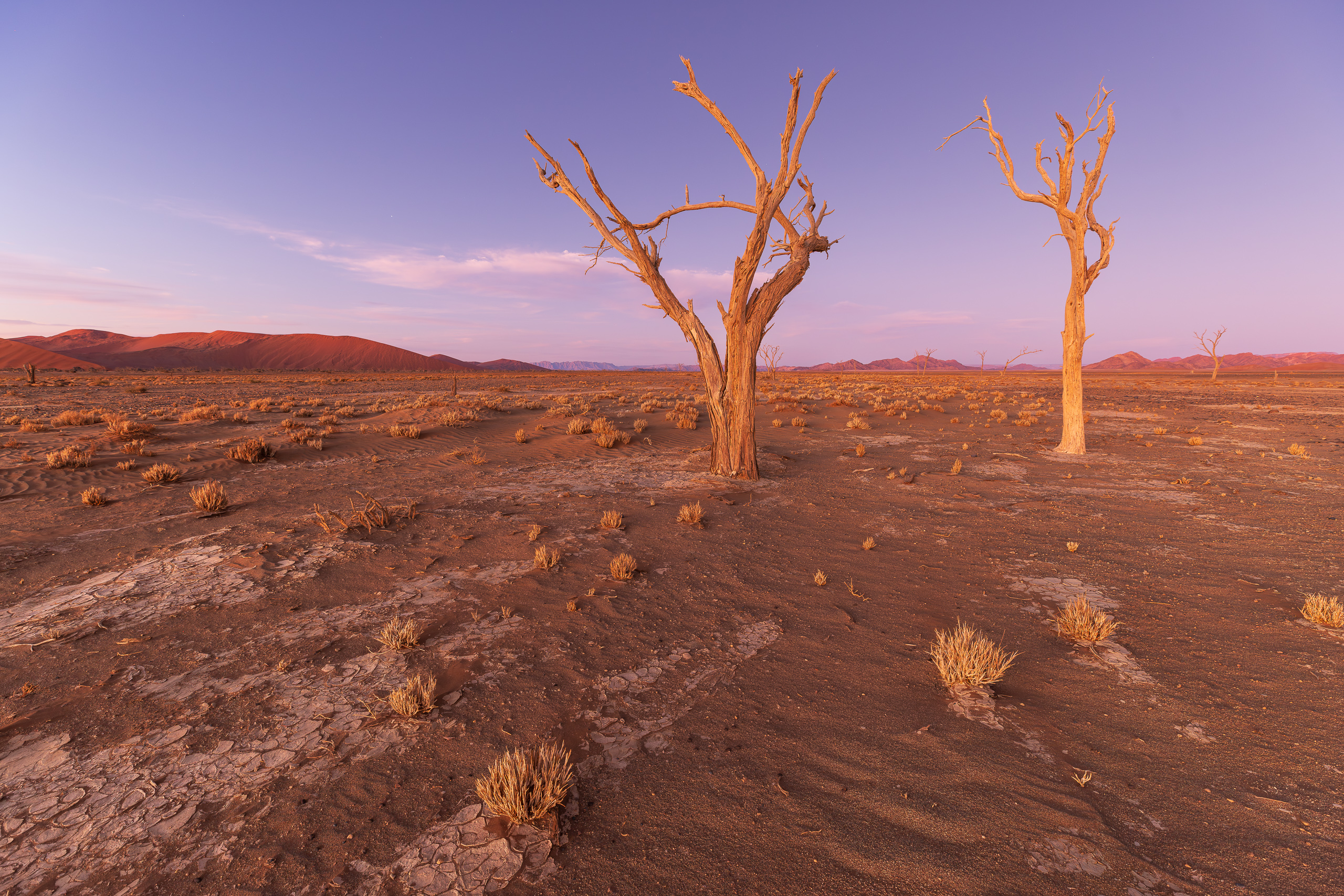 19055311082024224 ©SimonePaleari