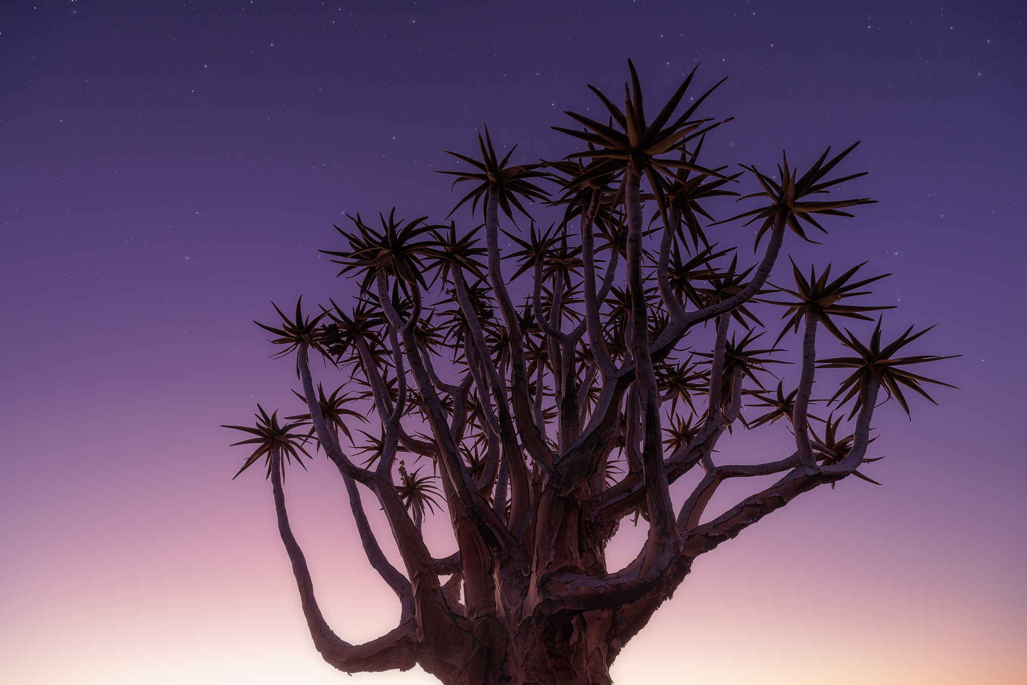 19061805082024218 ©SimonePaleari