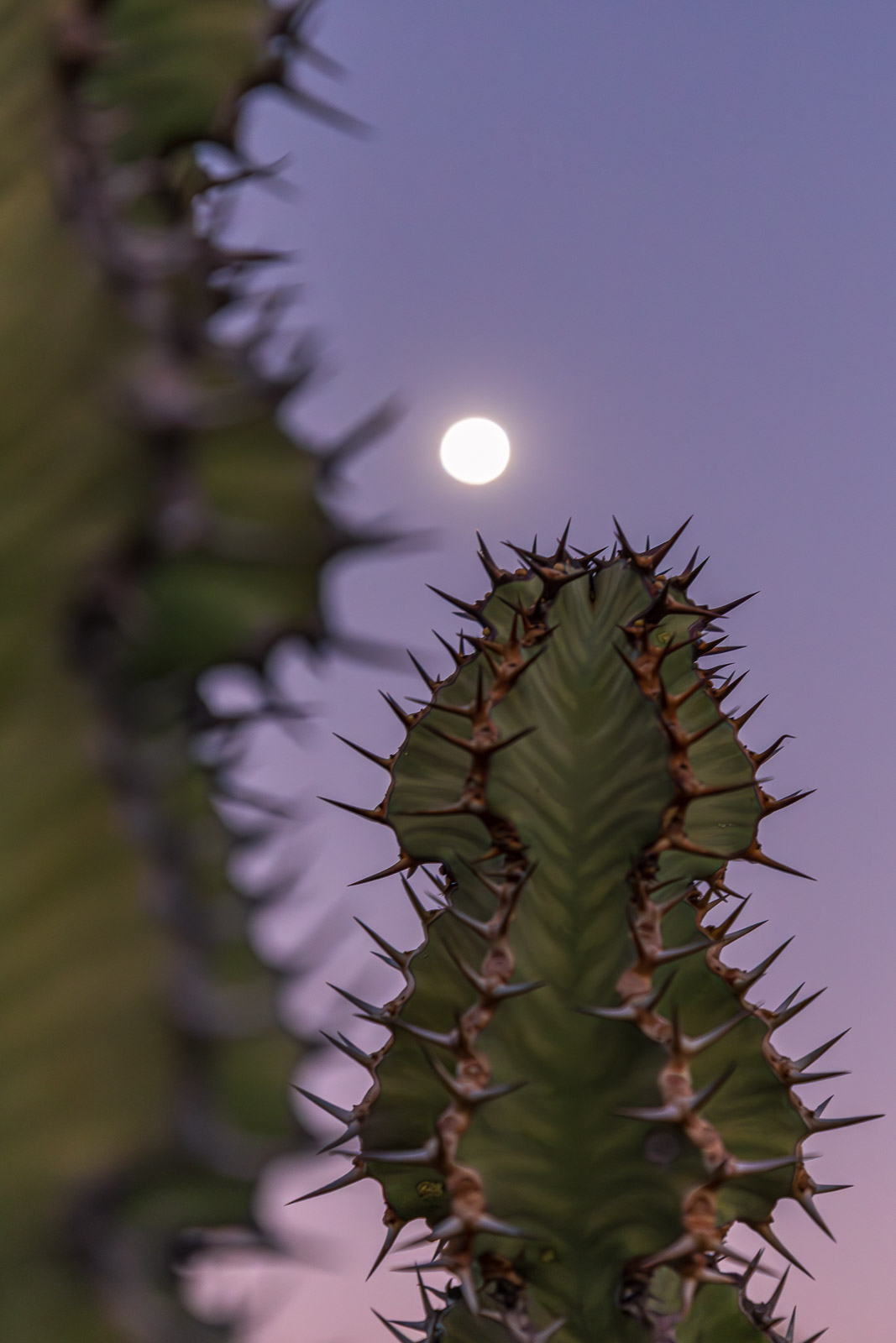 19130417082024230 ©SimonePaleari