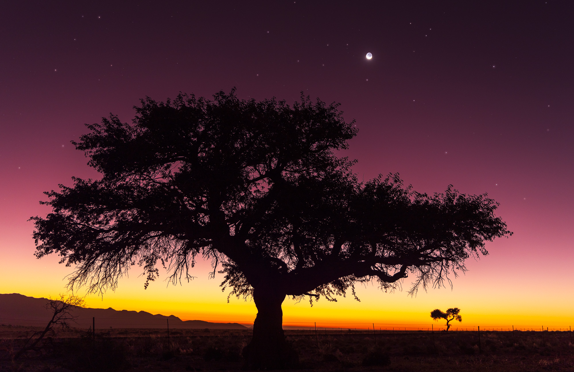 19195807082024220 ©SimonePaleari