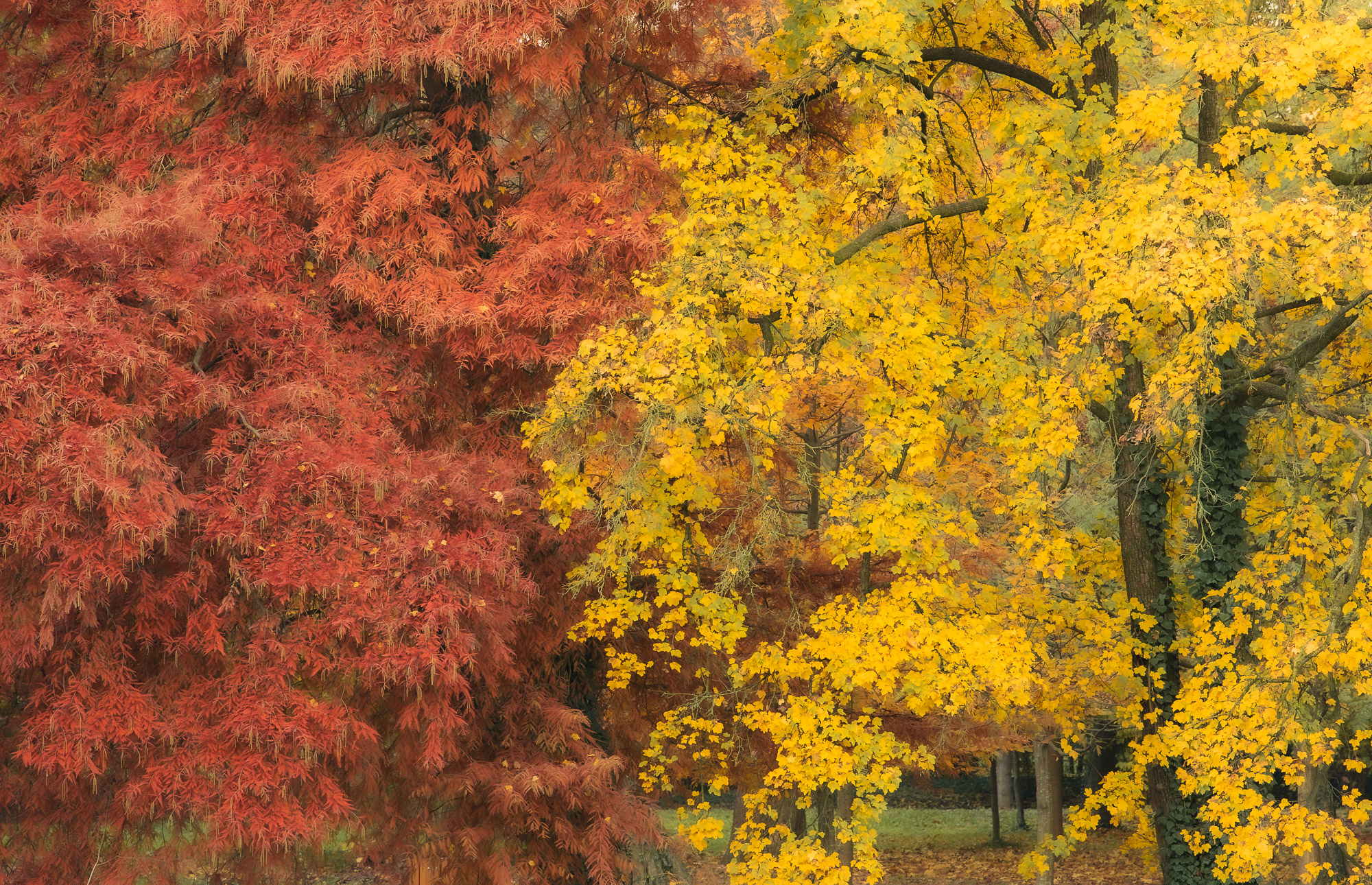 08392706112021310 ©SimonePaleari