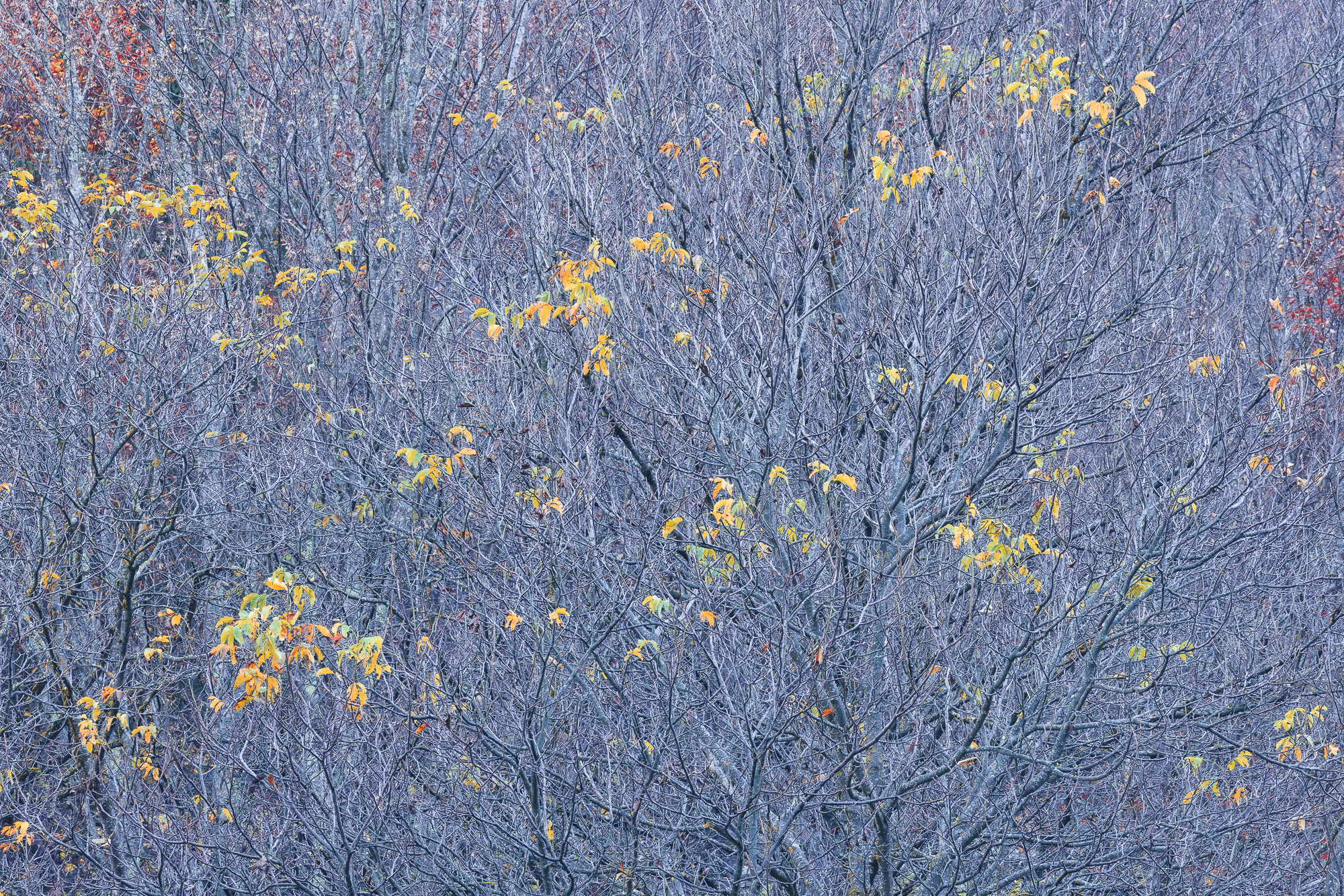 11032630102024304 ©SimonePaleari