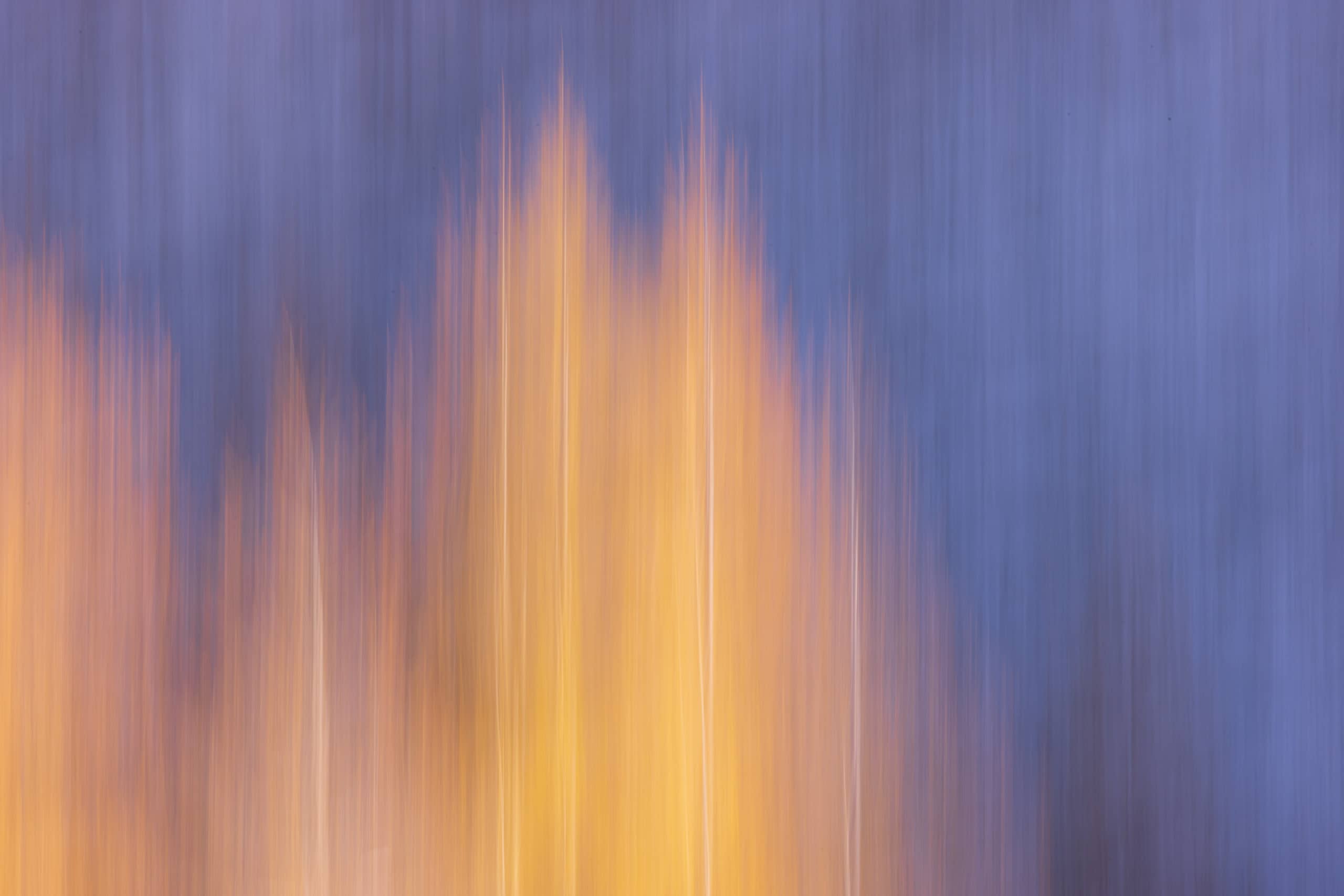 11312426102025299 ©SimonePaleari