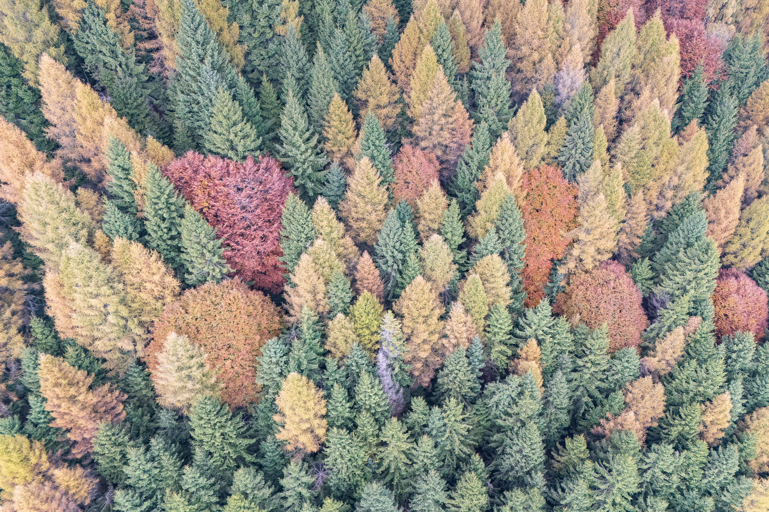 13414319102025292 2©SimonePaleari