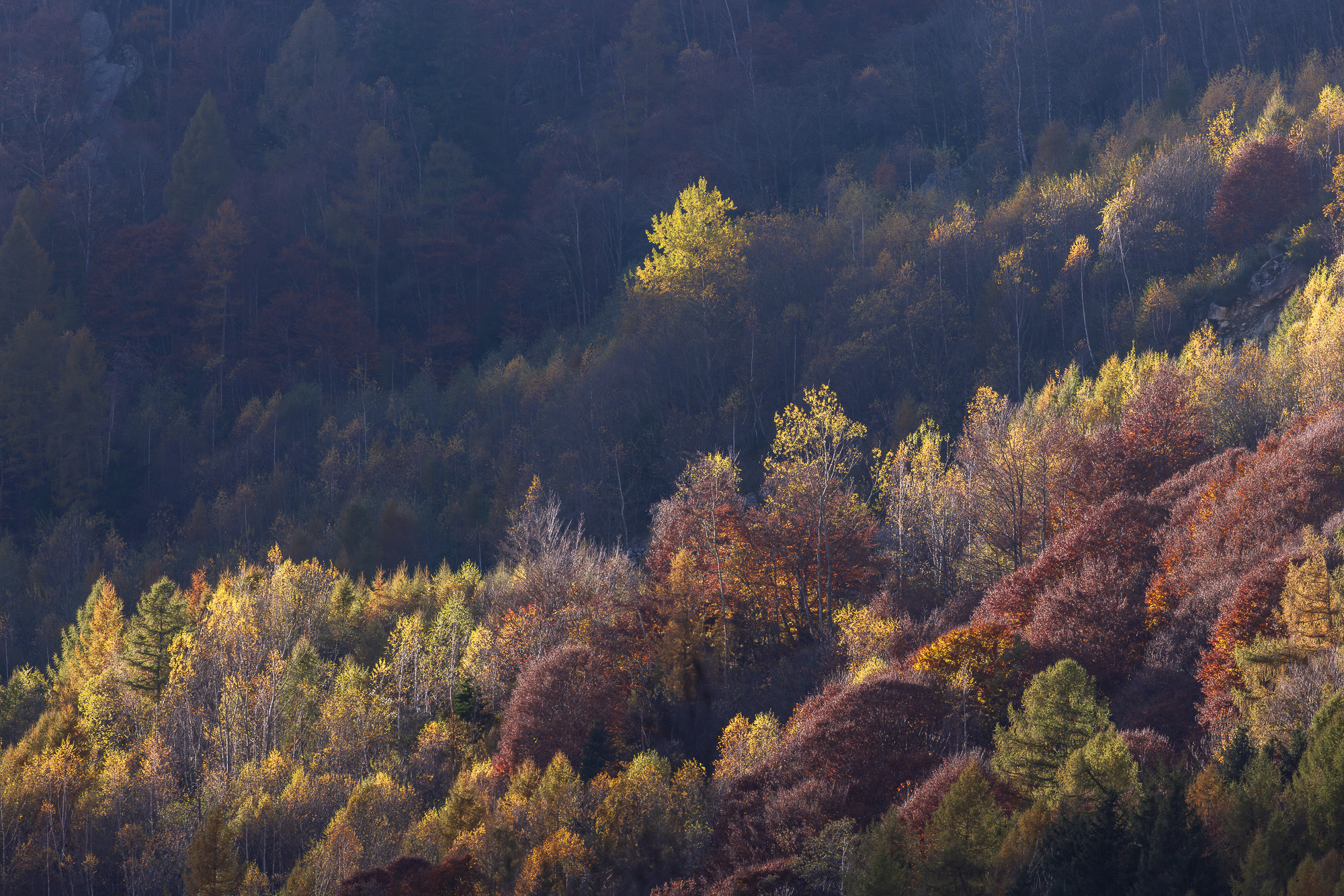 14534106112024311 ©SimonePaleari