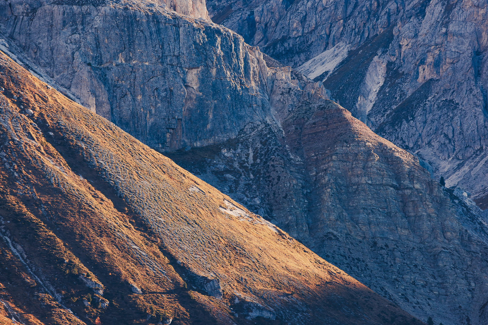 16323303112024308 ©SimonePaleari