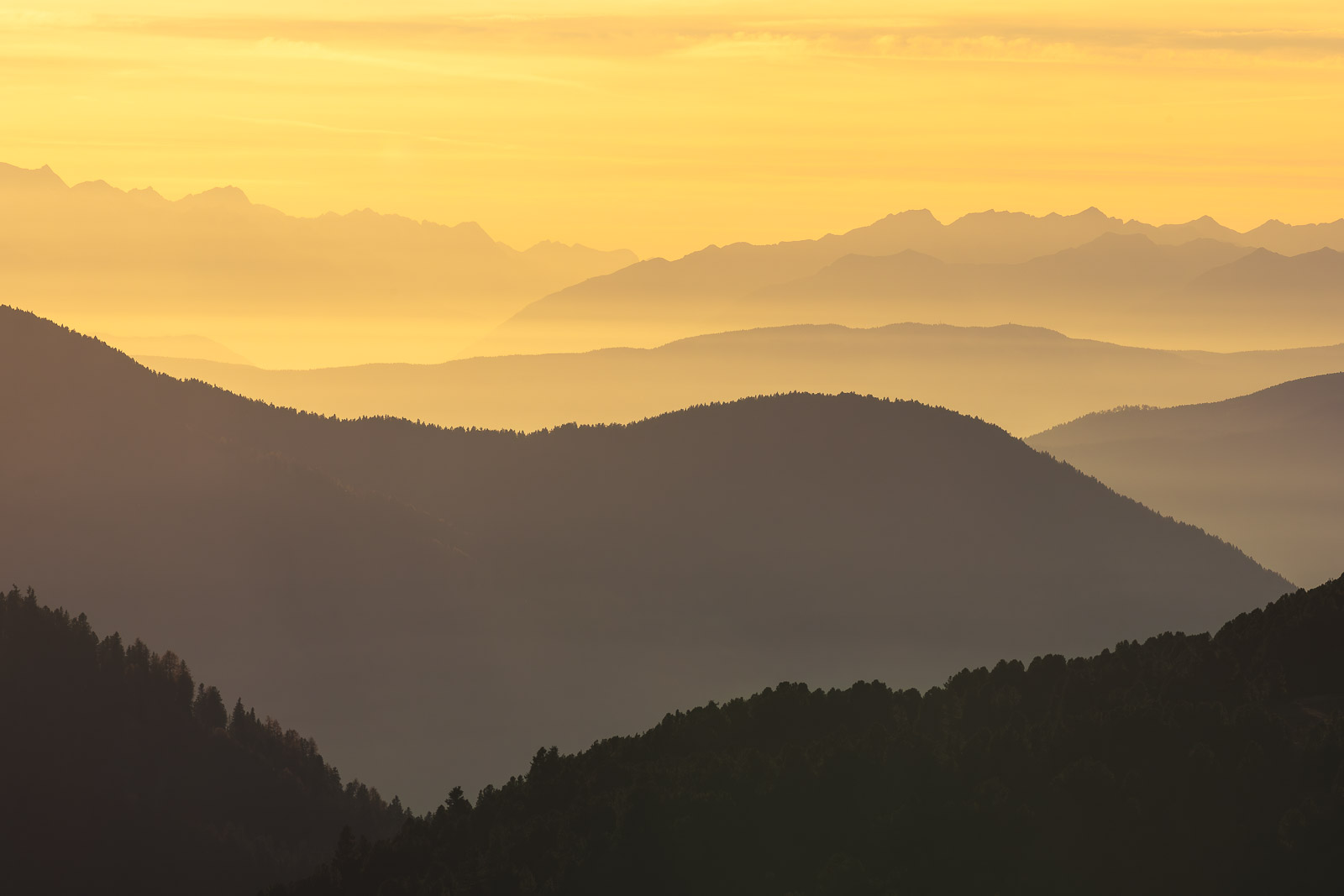 17115603112024308 ©SimonePaleari