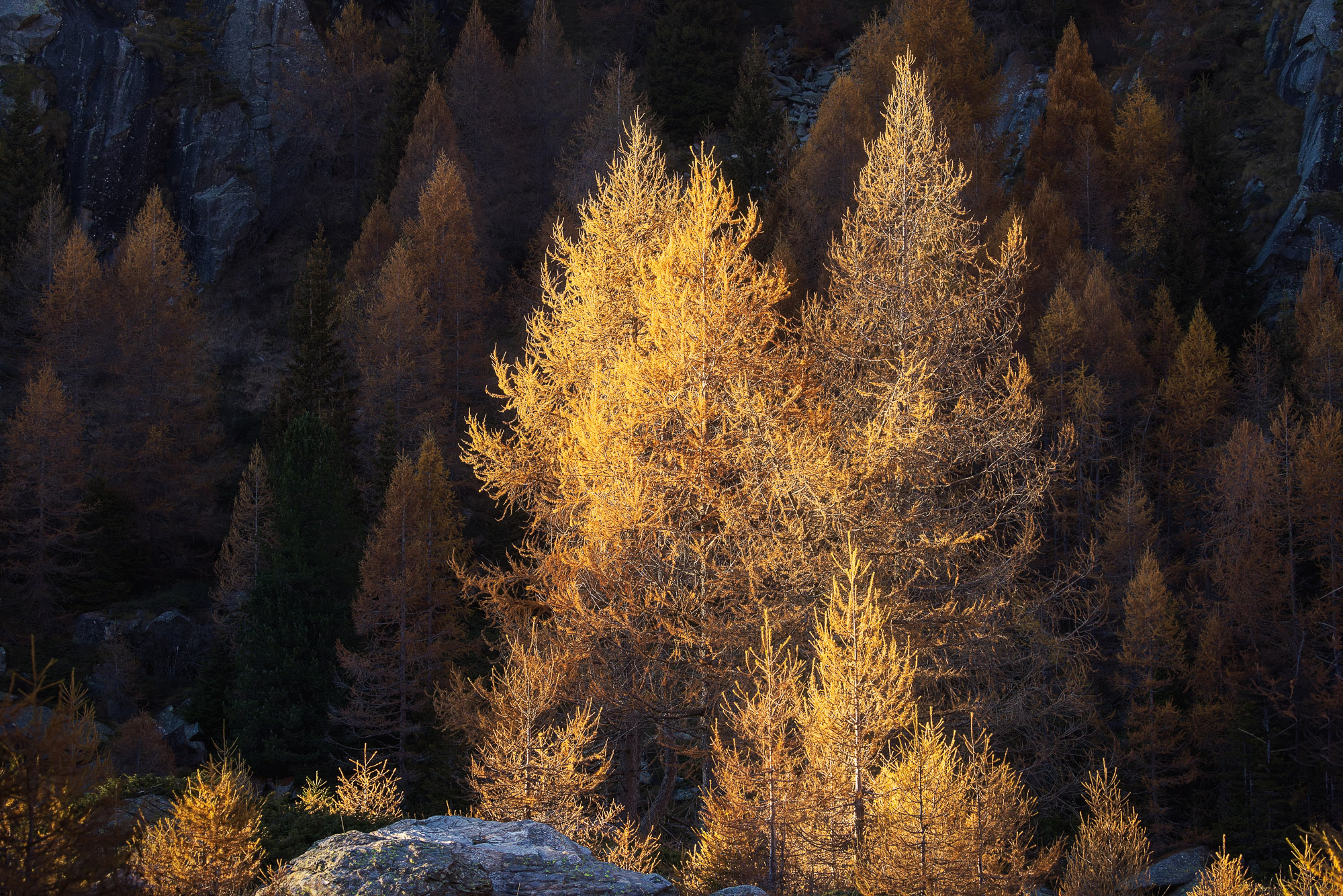 17231230102024304 ©SimonePaleari