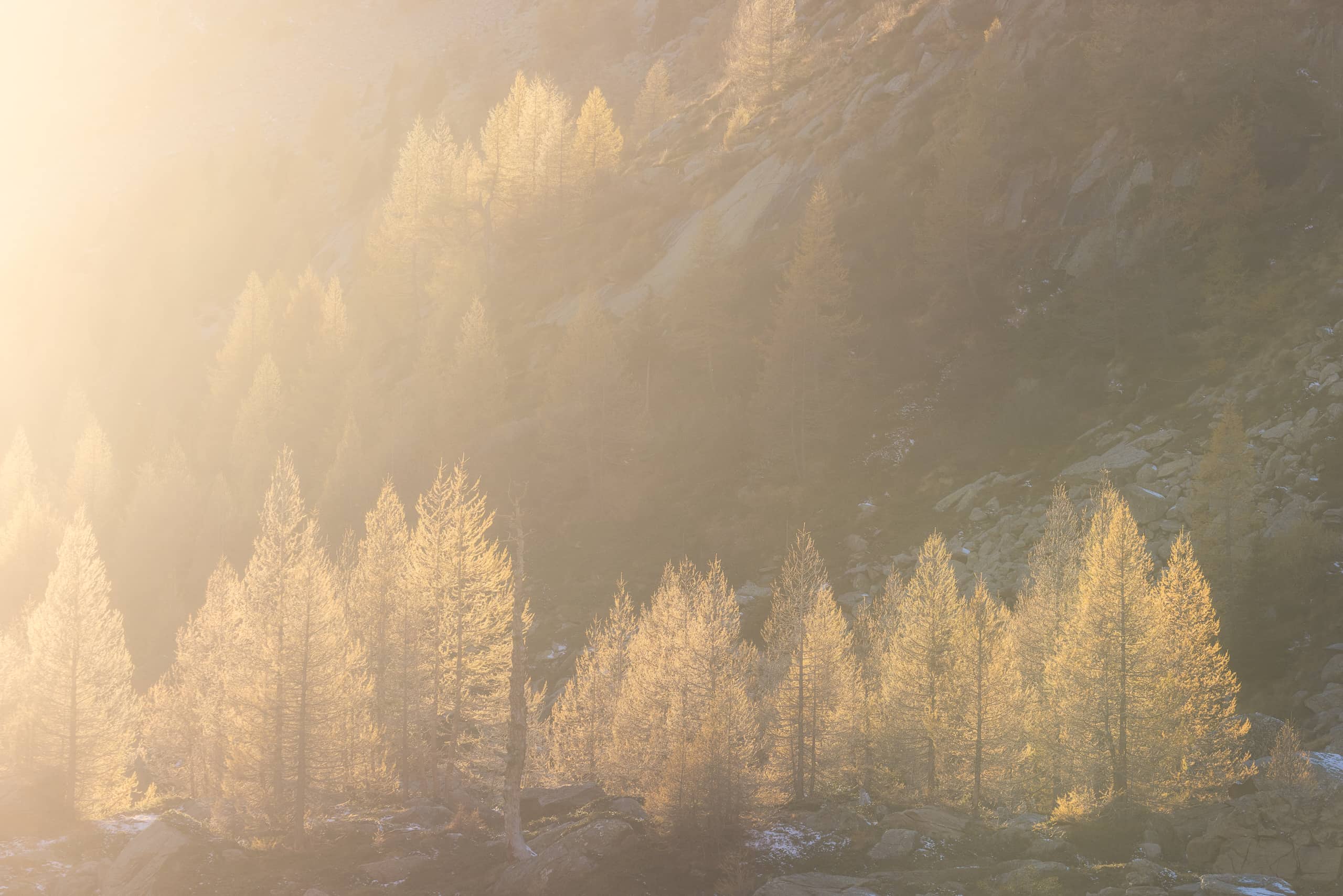 17294426102025299 ©SimonePaleari