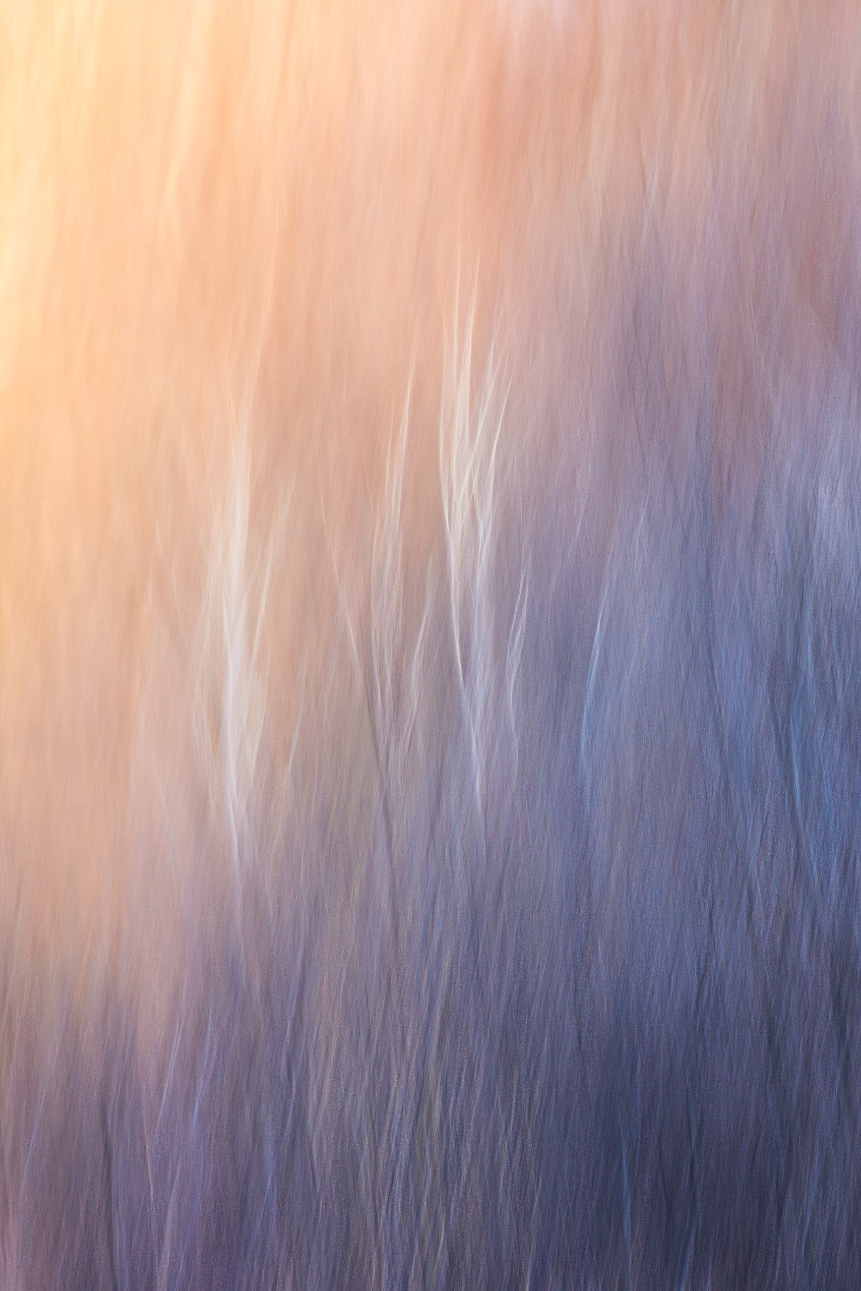 17452129112025333 ©SimonePaleari