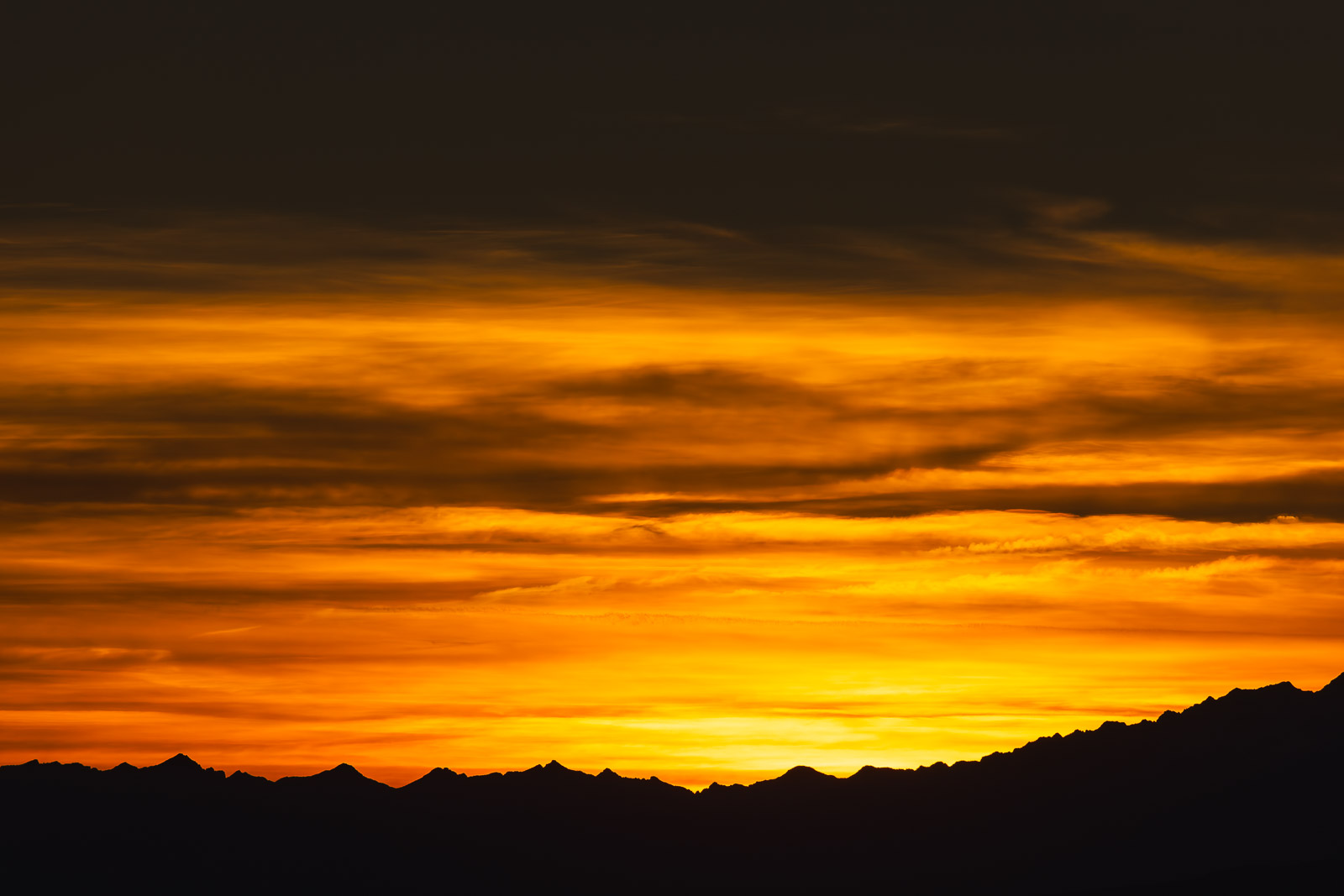 17580203112024308 ©SimonePaleari