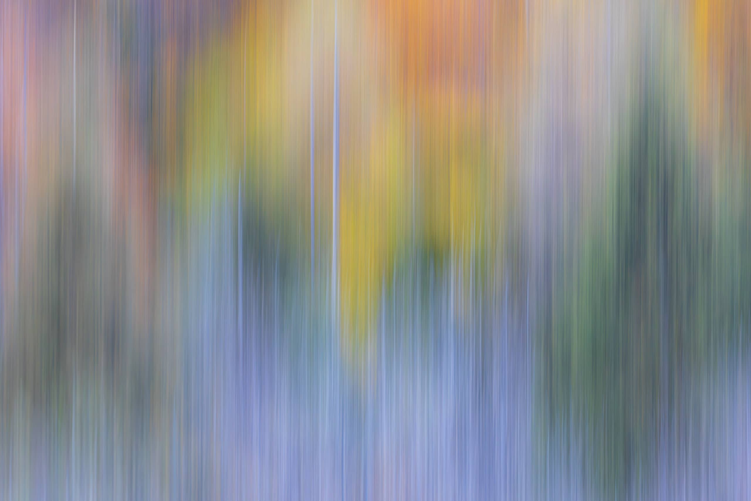 18055225102025298 ©SimonePaleari