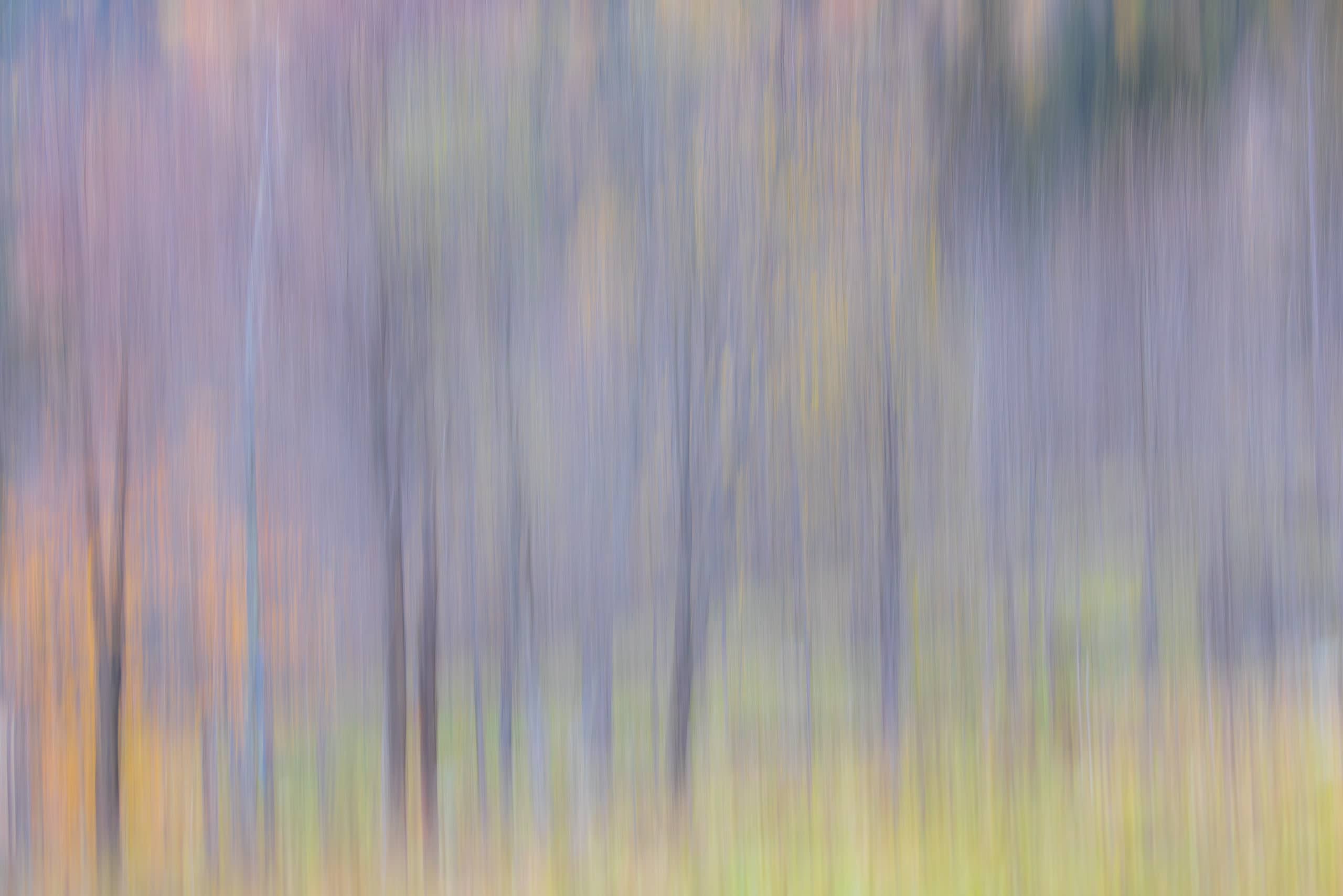 18211625102025298 ©SimonePaleari