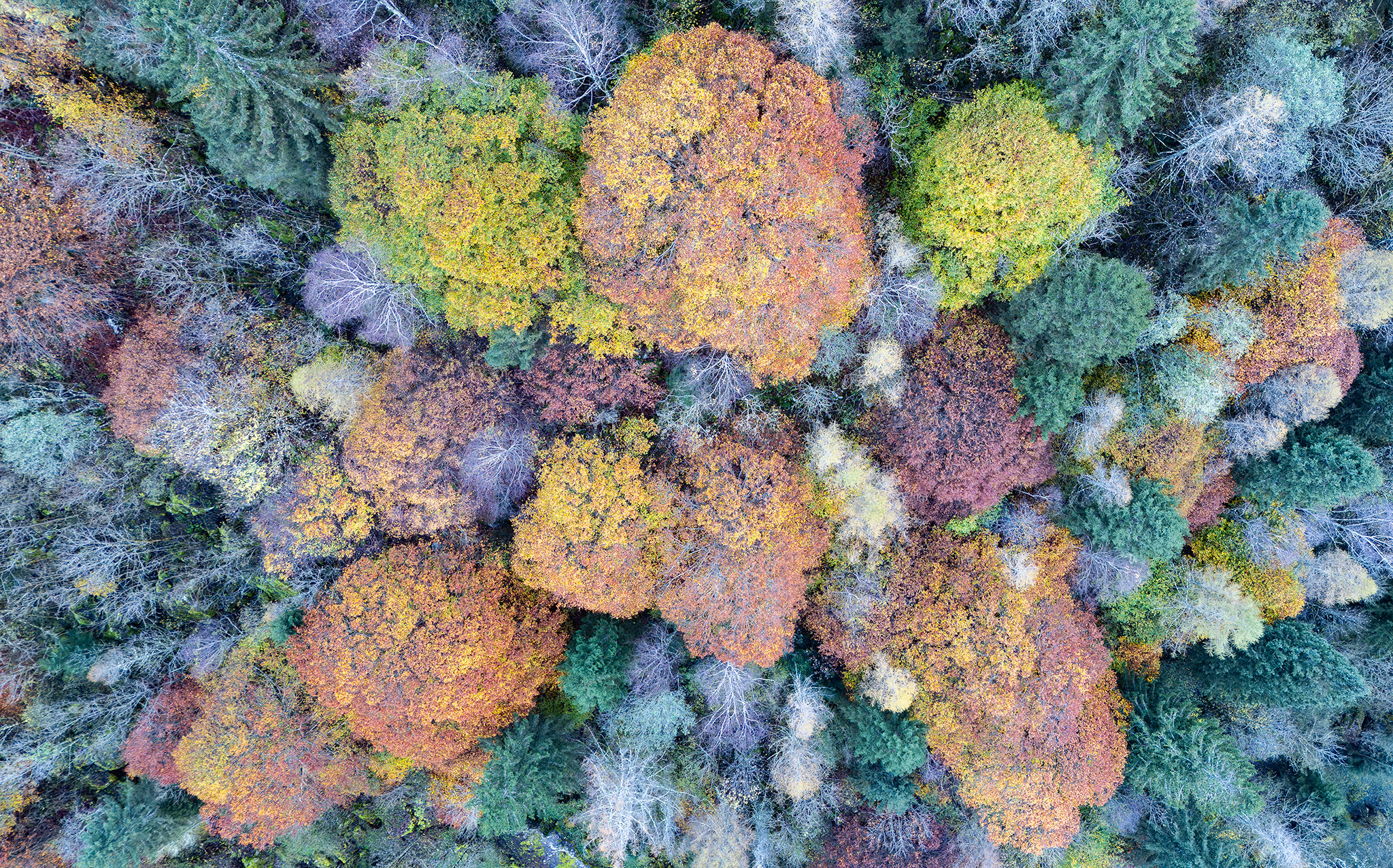 DJI 20241030084200 0232 D Pano Migliorato NR 