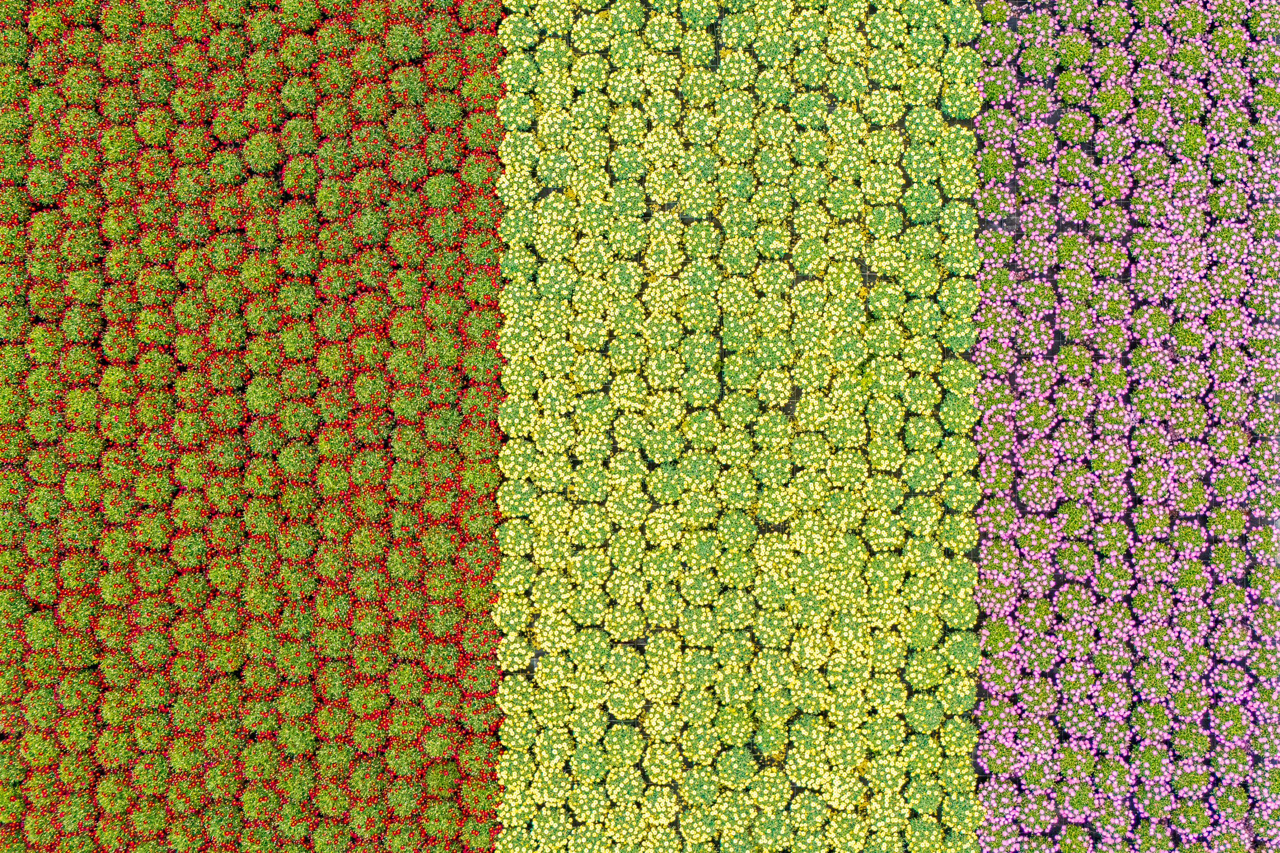DJI 20260426141948 0671 D HDR