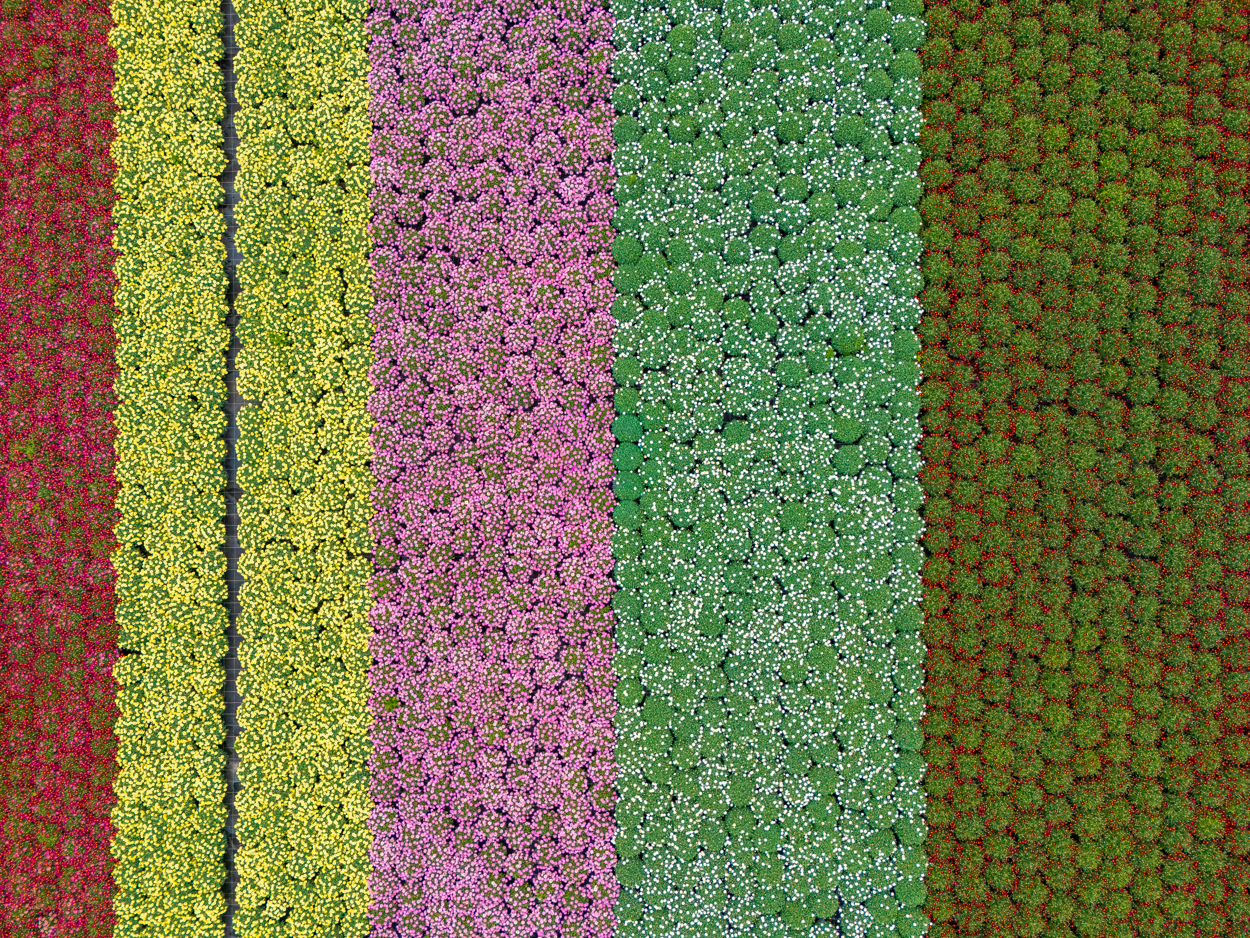 DJI 20260426142246 0689 D HDR