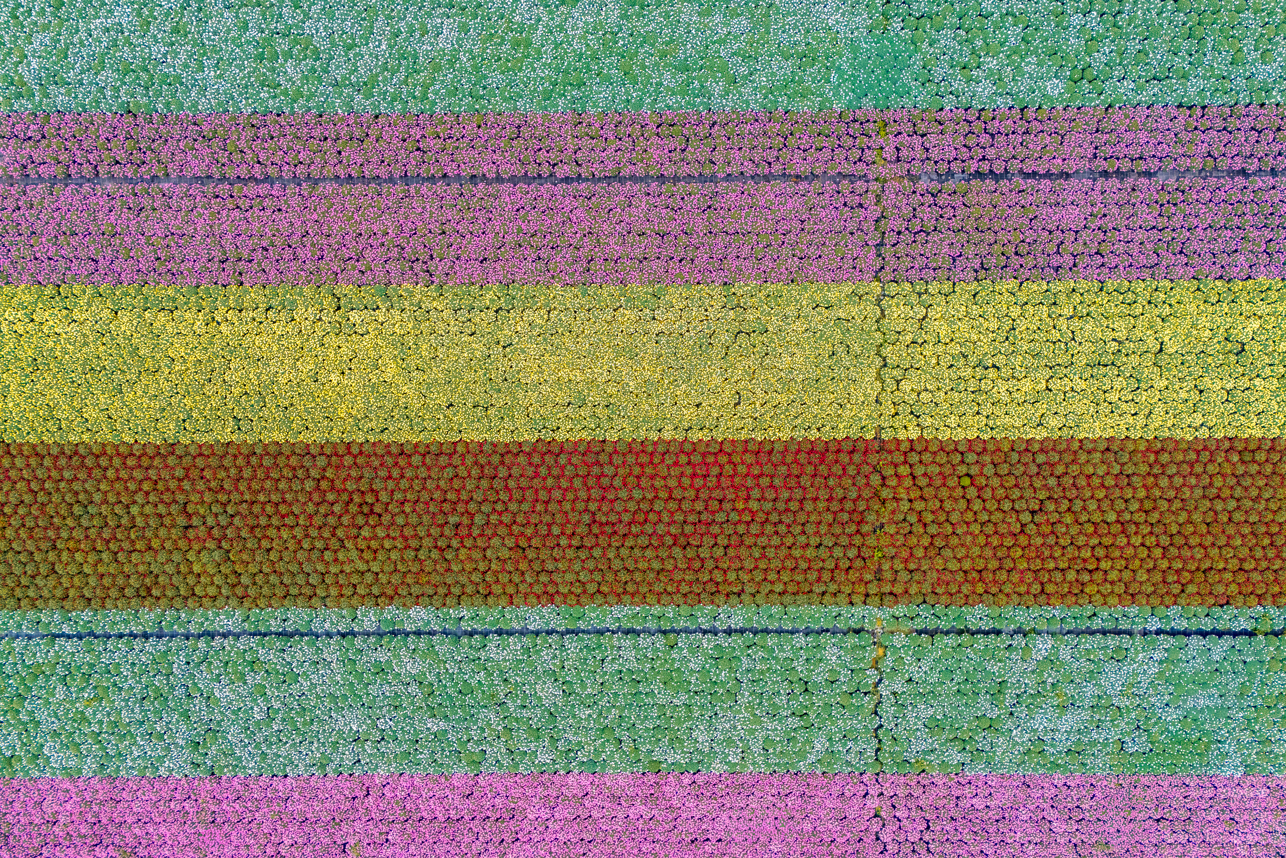 DJI 20260426142858 0728 D HDR Modifica