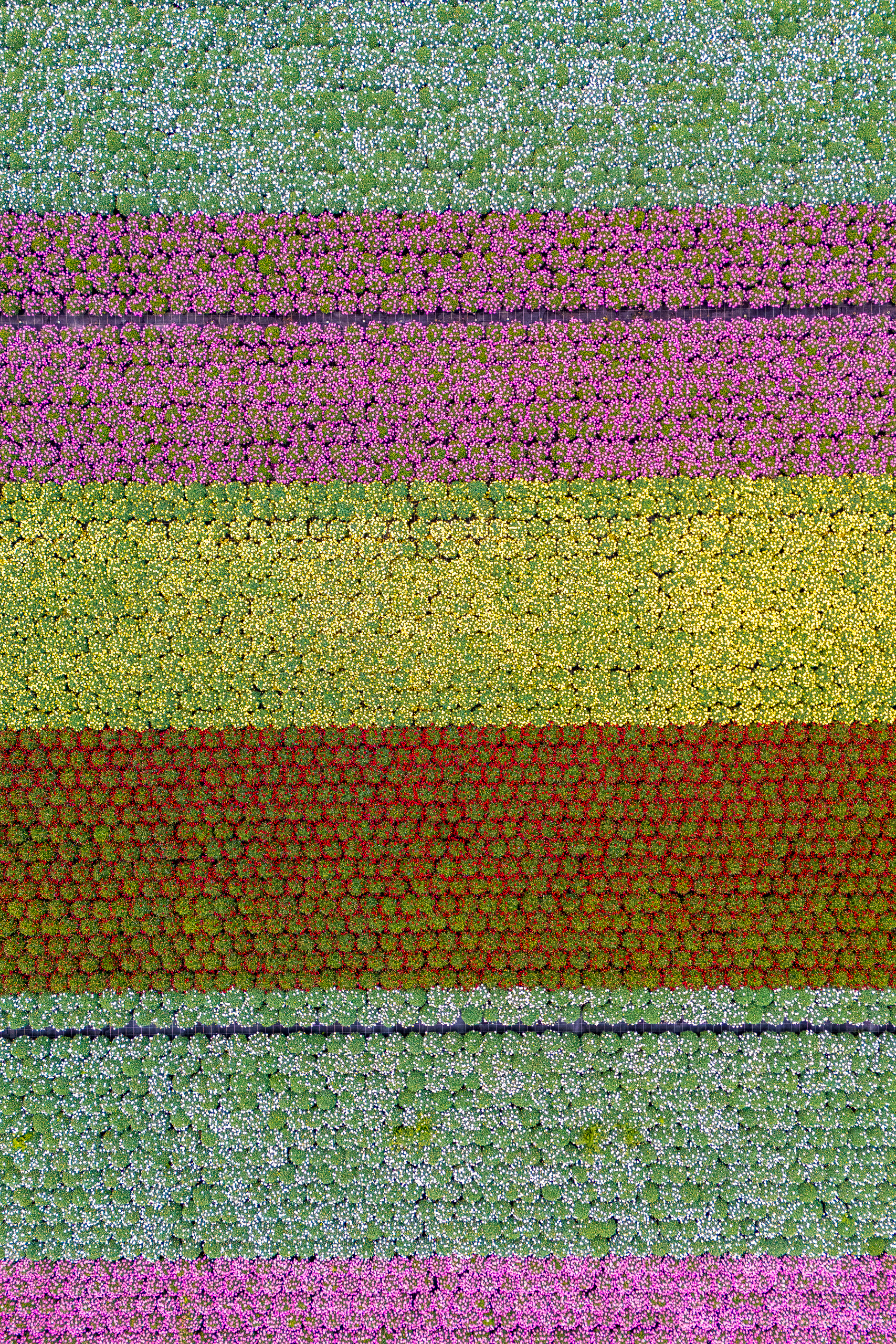 DJI 20260426143042 0737 D 2