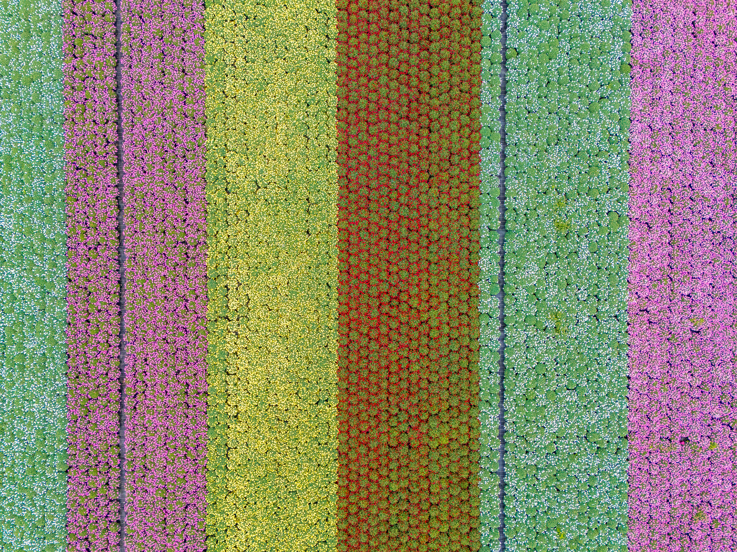 DJI 20260426143212 0752 D HDR