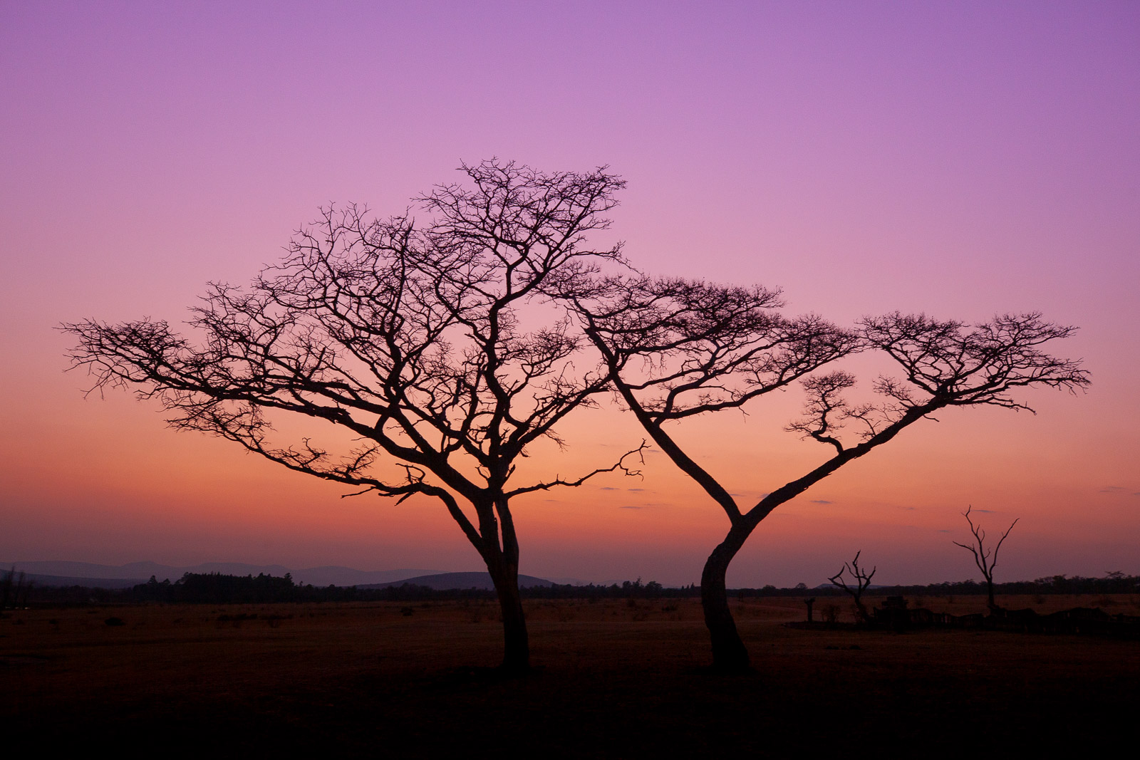 06204608082019220 ©SimonePaleari