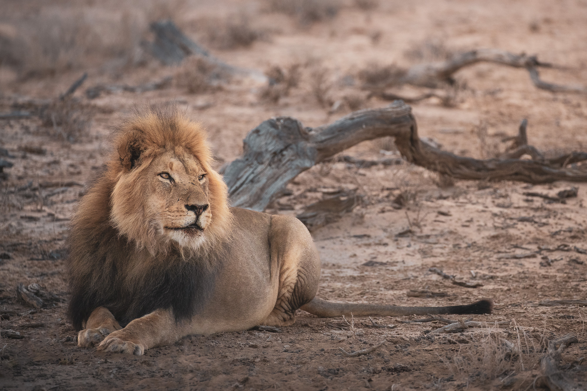 07201617082019229 ©SimonePaleari