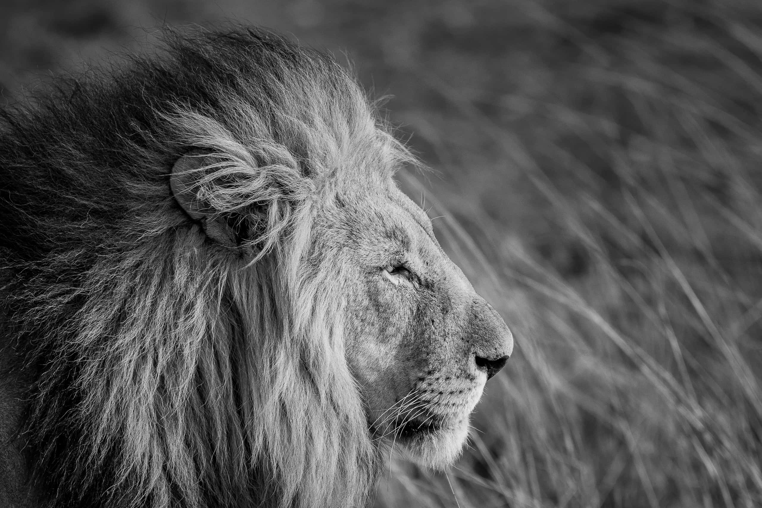 07263108082019220 ©SimonePaleari