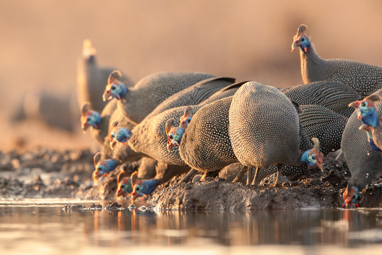 07325109082019221 ©SimonePaleari