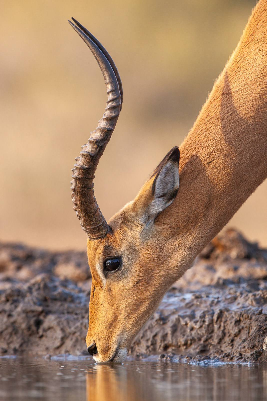 07472509082019221 ©SimonePaleari