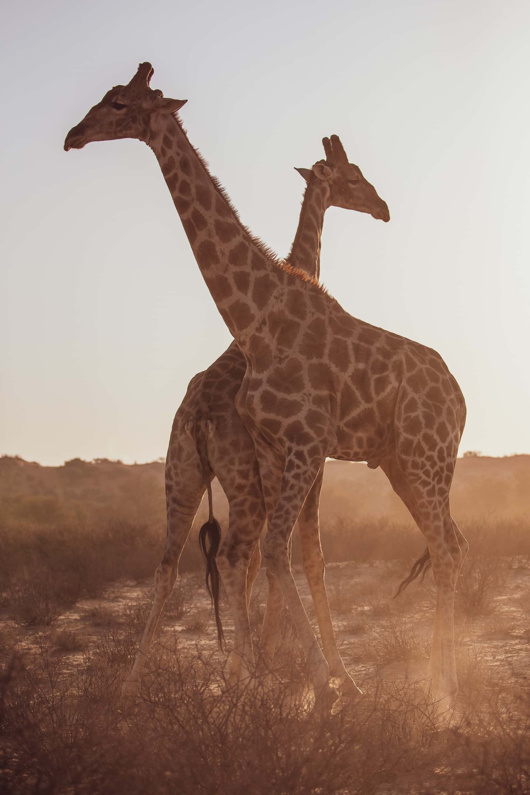 07512722082019234 2©SimonePaleari