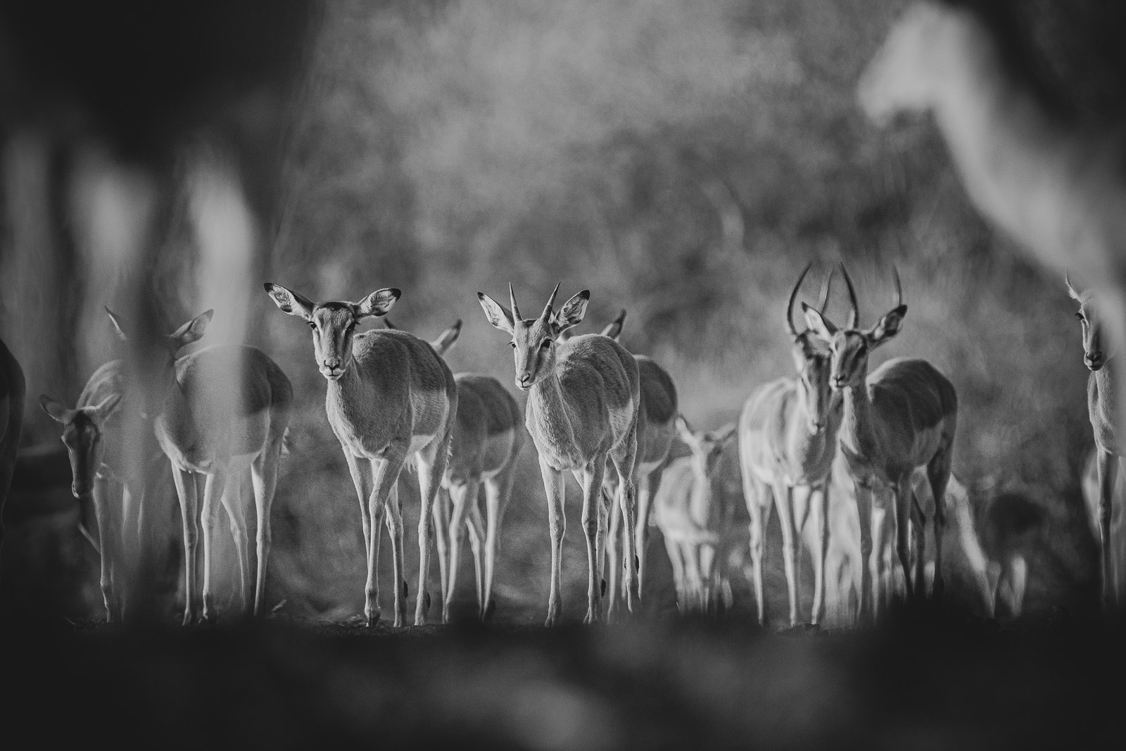 07550009082019221 ©SimonePaleari