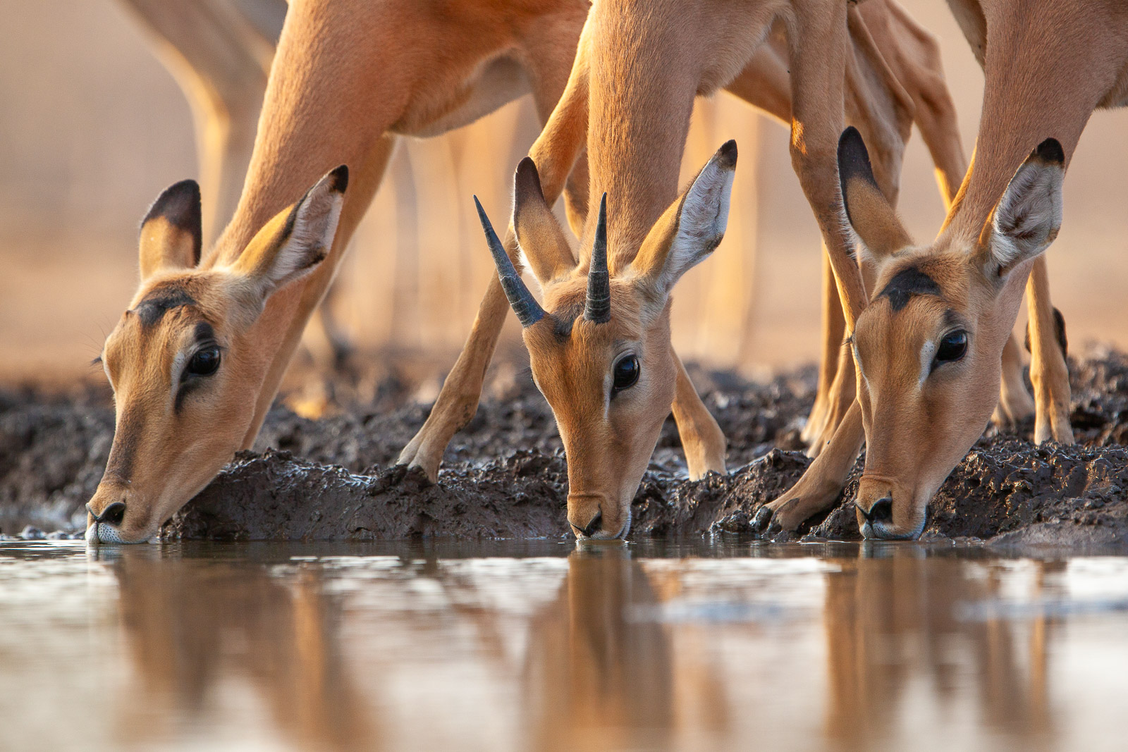 07561809082019221 ©SimonePaleari