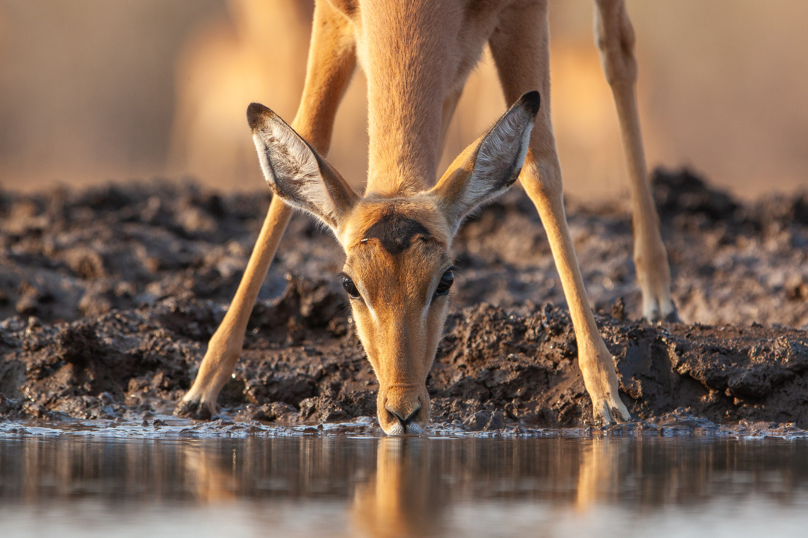 07581609082019221 ©SimonePaleari