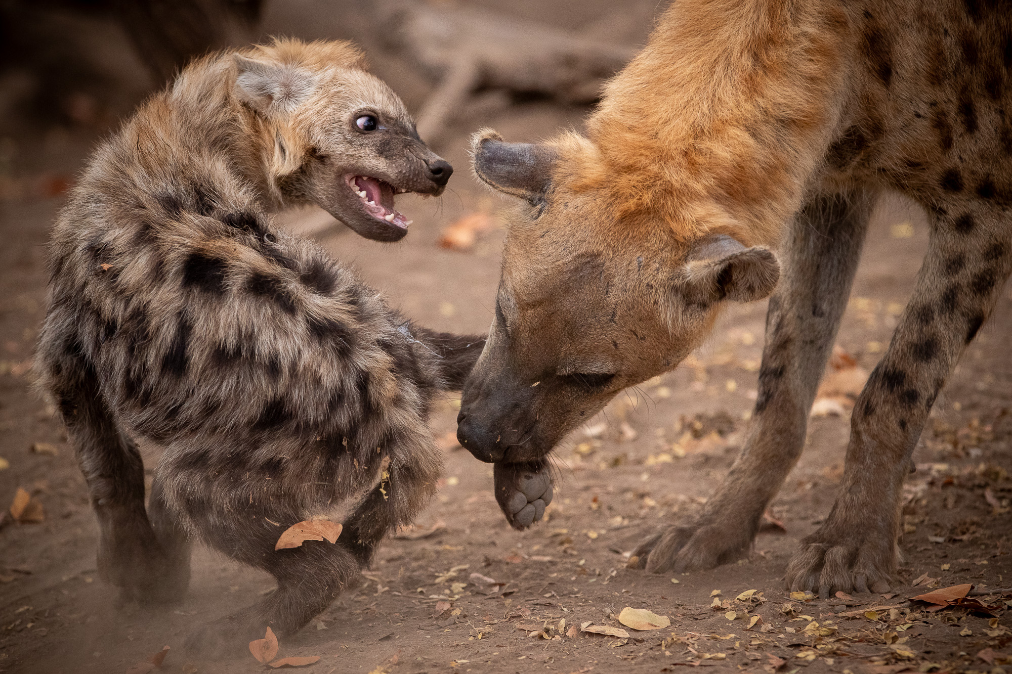 07590810082019222 ©SimonePaleari