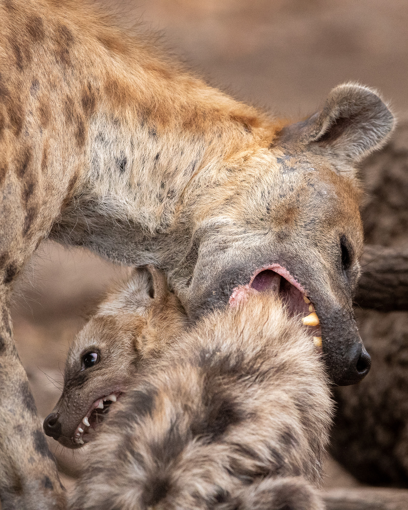 08073310082019222 ©SimonePaleari