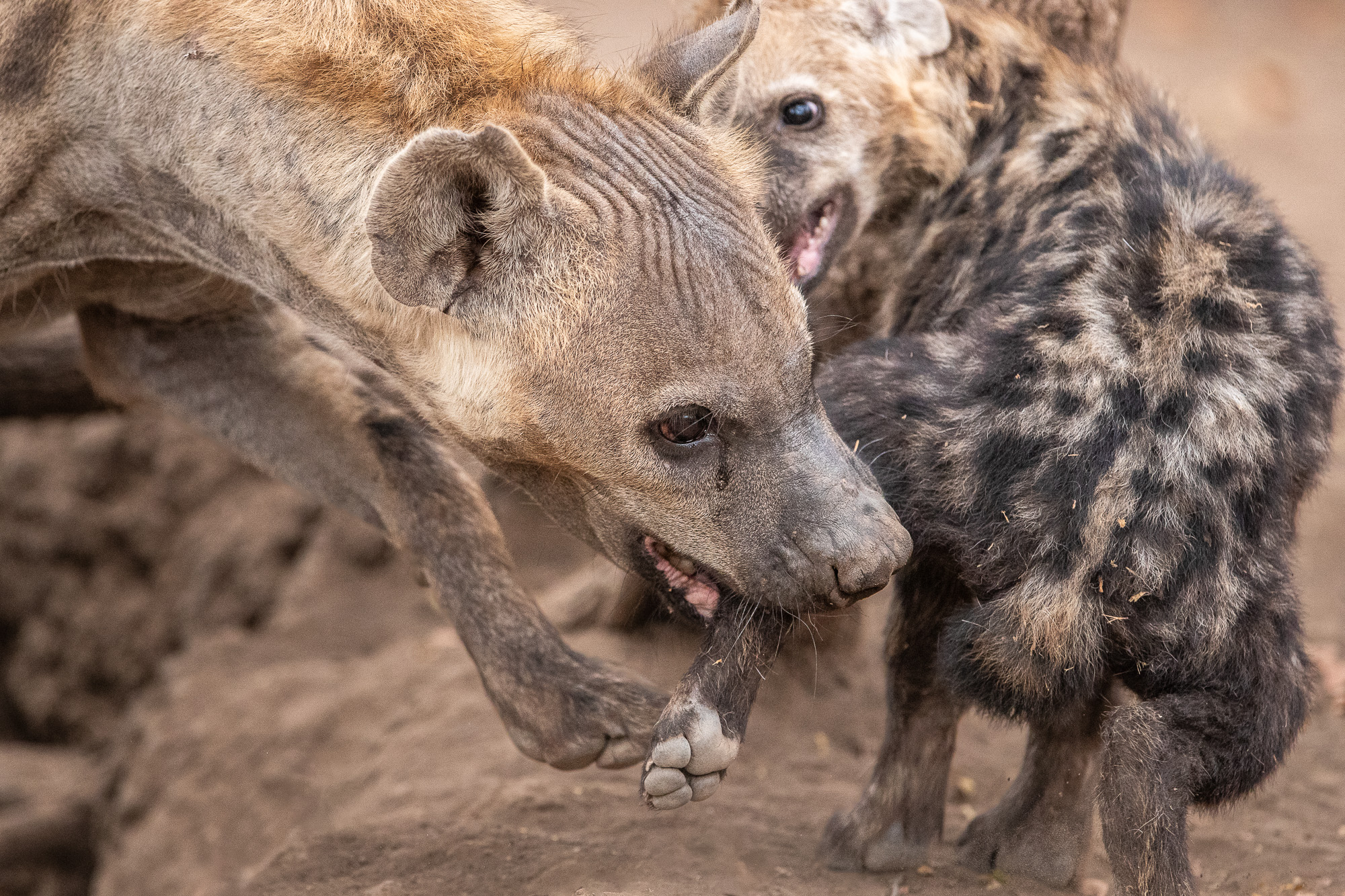 08103110082019222 ©SimonePaleari